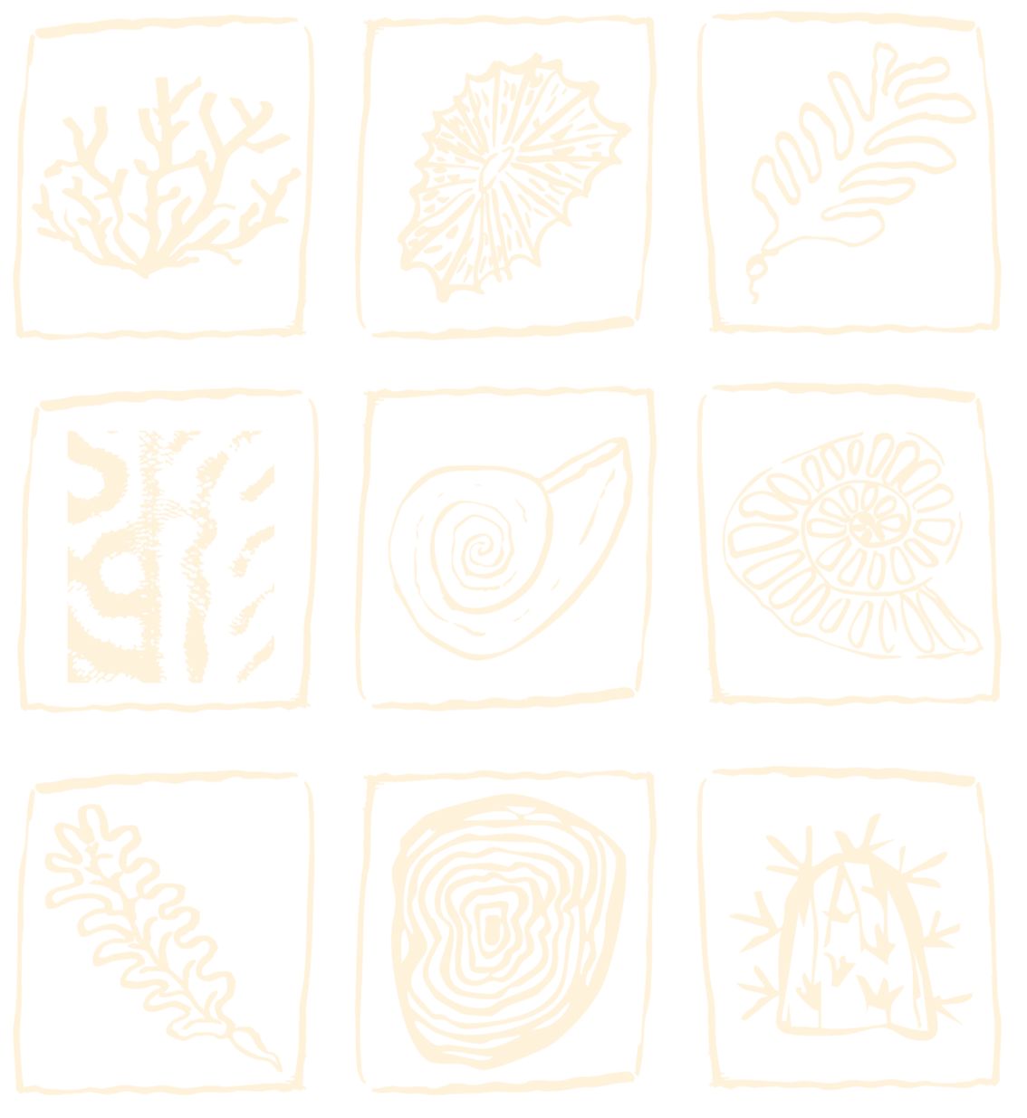 Nine square illustrations of coral, leaf, and shell designs arranged in a 3x3 grid on a black background.