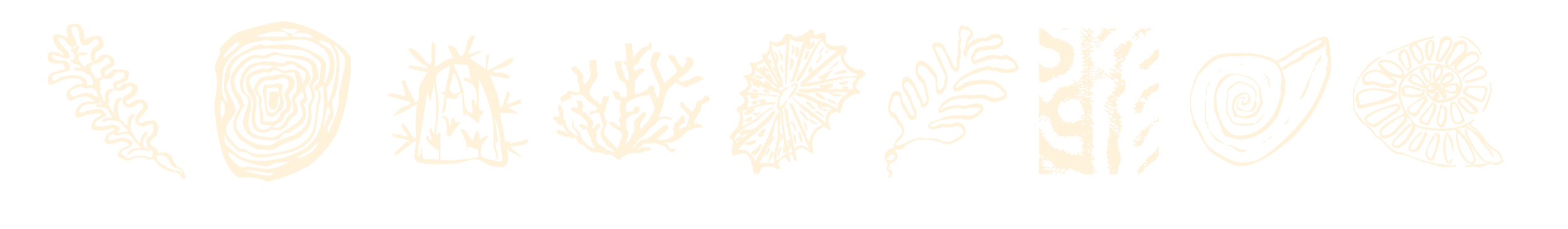 Collection of black-and-white abstract botanical line art illustrations arranged from left to right.