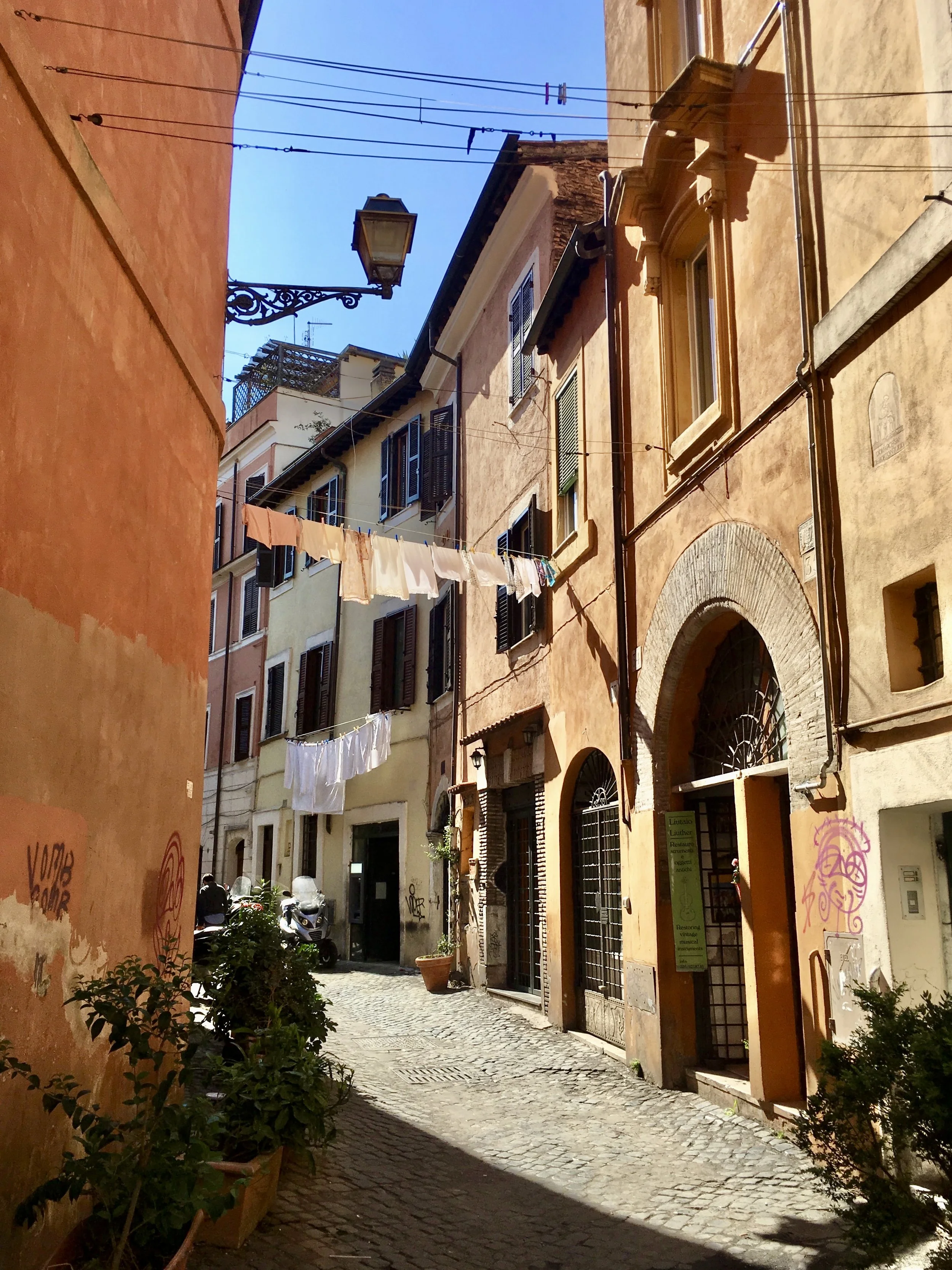 IMG_1465.jpeg