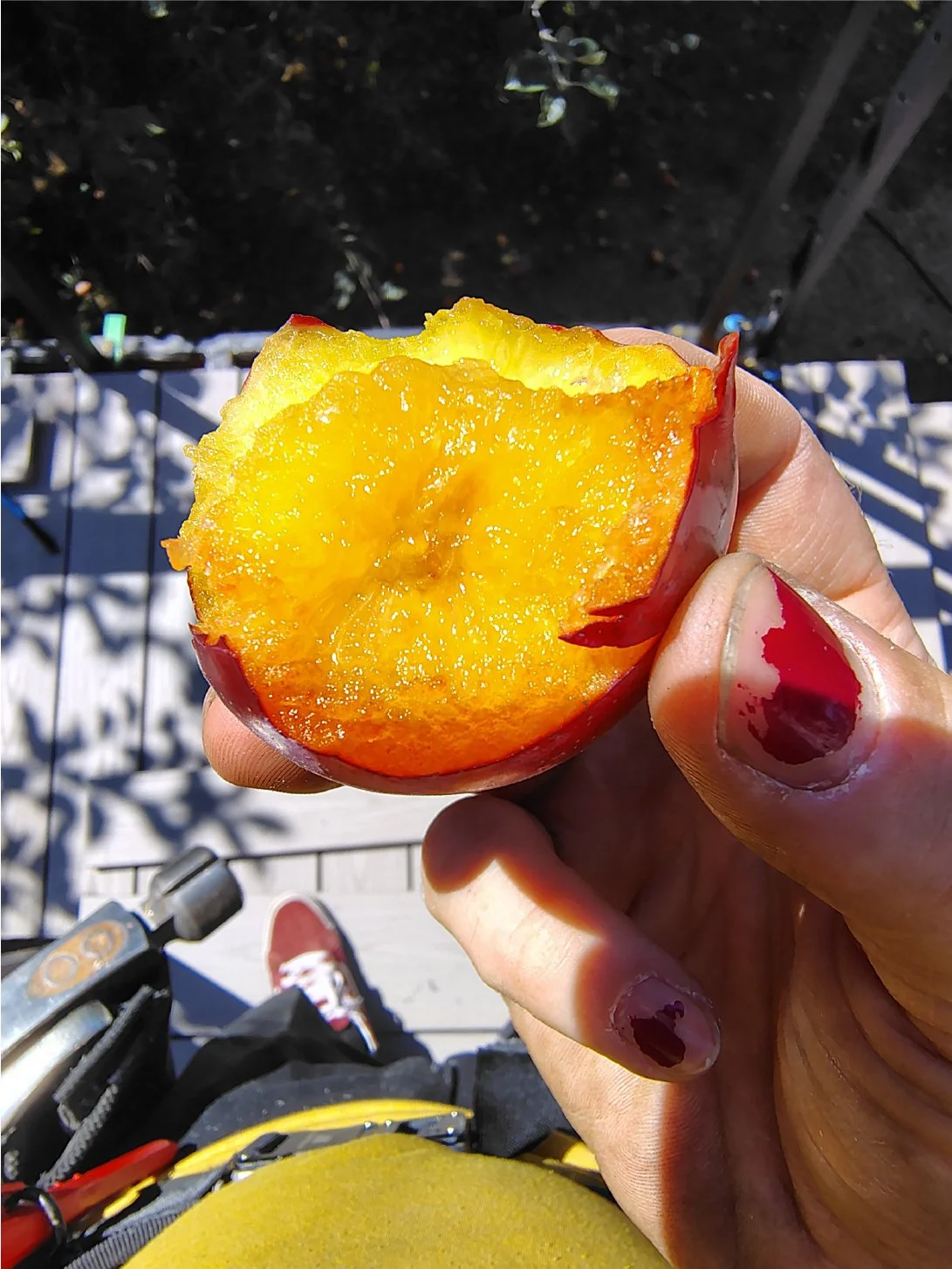 Close-up of a hand holding a partially eaten yellow peach with red edges, outdoors on a sunny day.