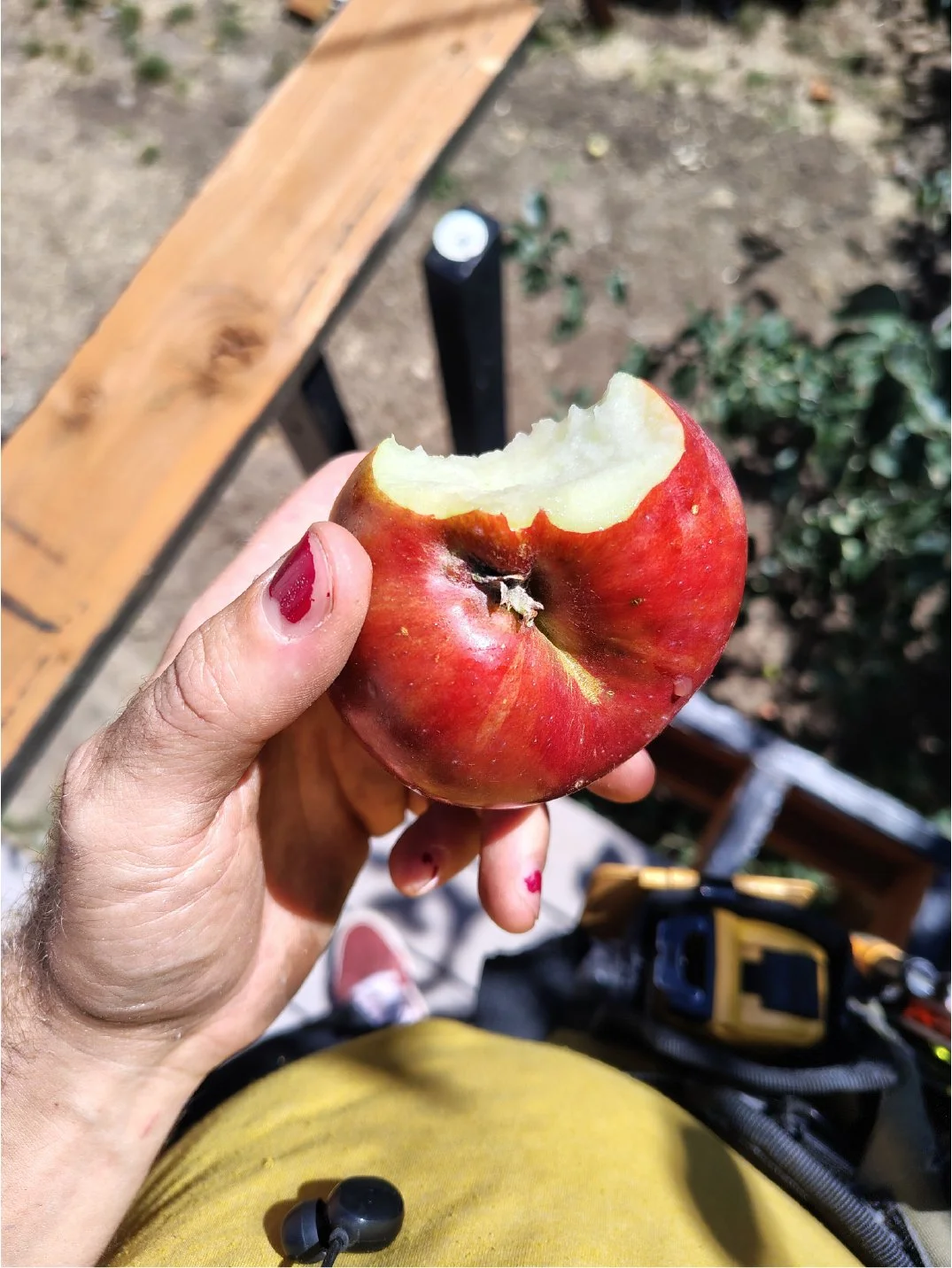 A person with red nail polish holding a bitten red apple outdoors with a wooden bench and some greenery in the background.