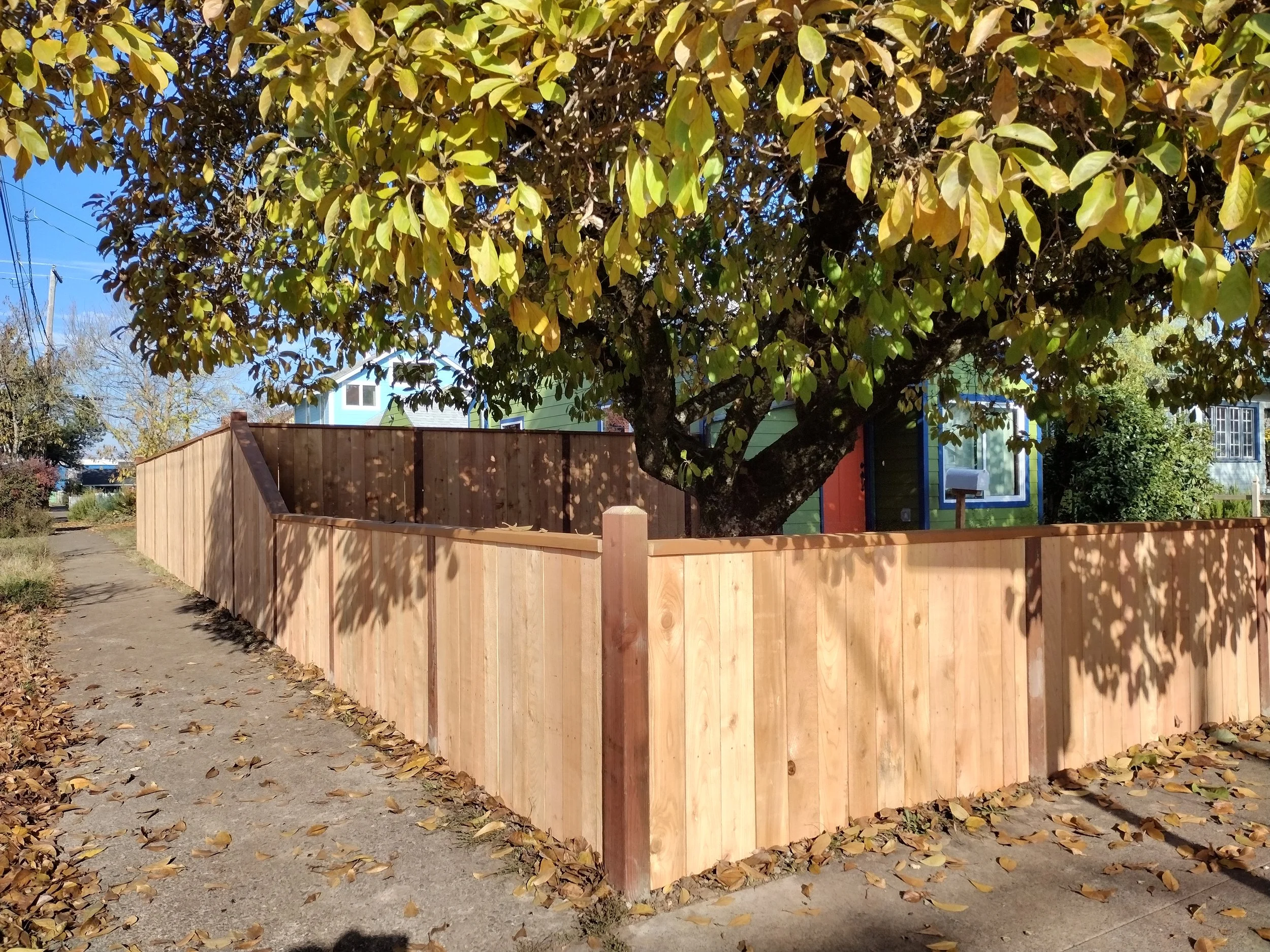 jene's fence