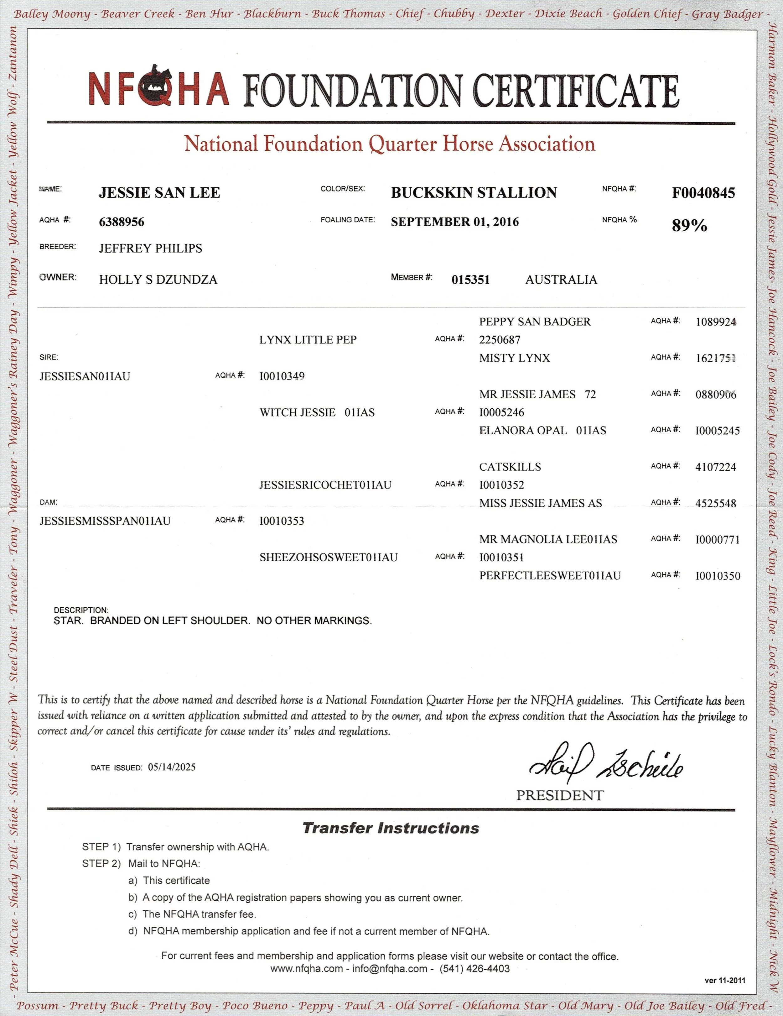 jessie-san-lee-registrationcertificate04.jpg