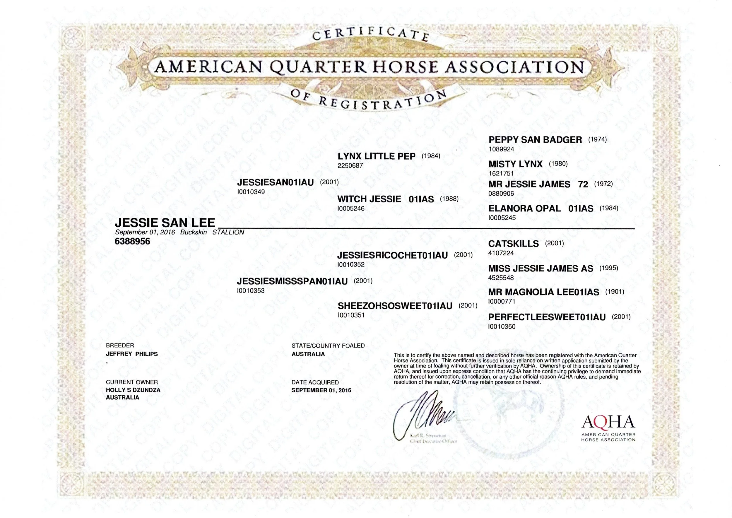 jessie-san-lee-registrationcertificate02.jpg