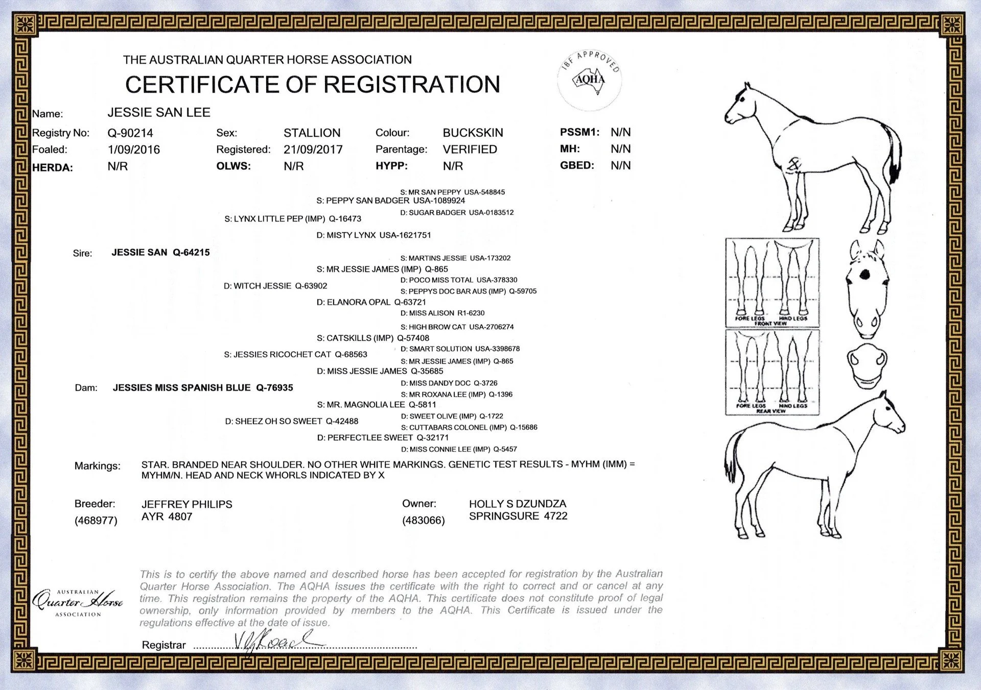 jessie-san-lee-registrationcertificate.jpg