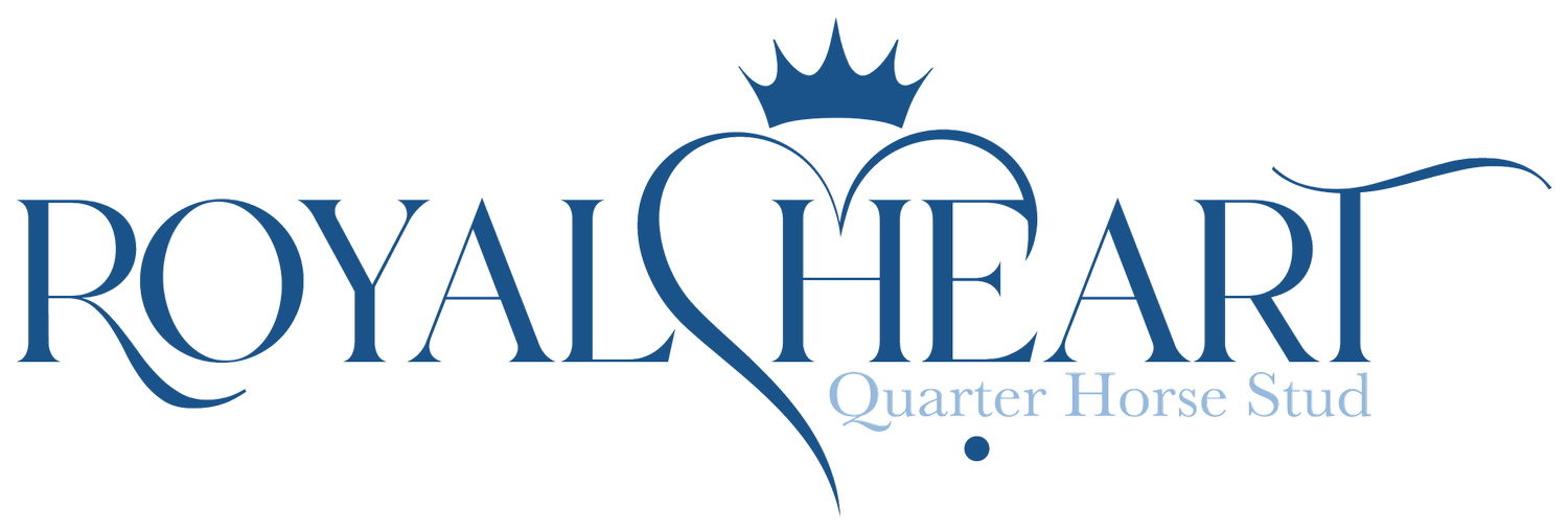Royal Heart Quarter Horses