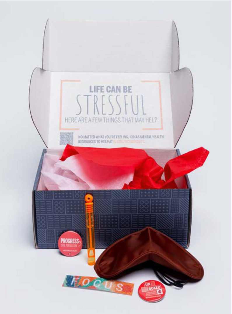 Indiana-University-Unboxed-Campaign_Page_16.png