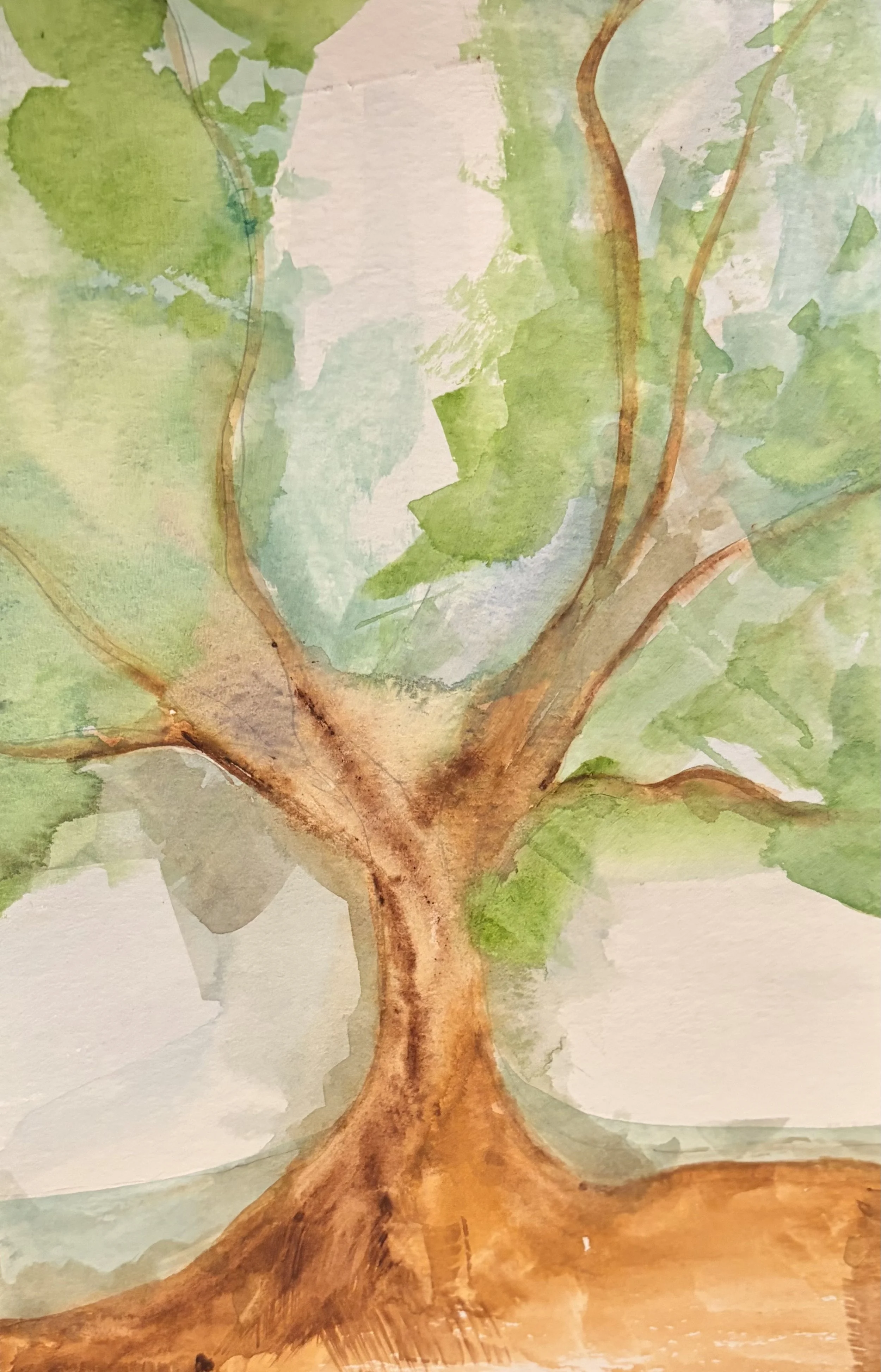 A watercolor painting of a tree with a brown trunk and green leaves.