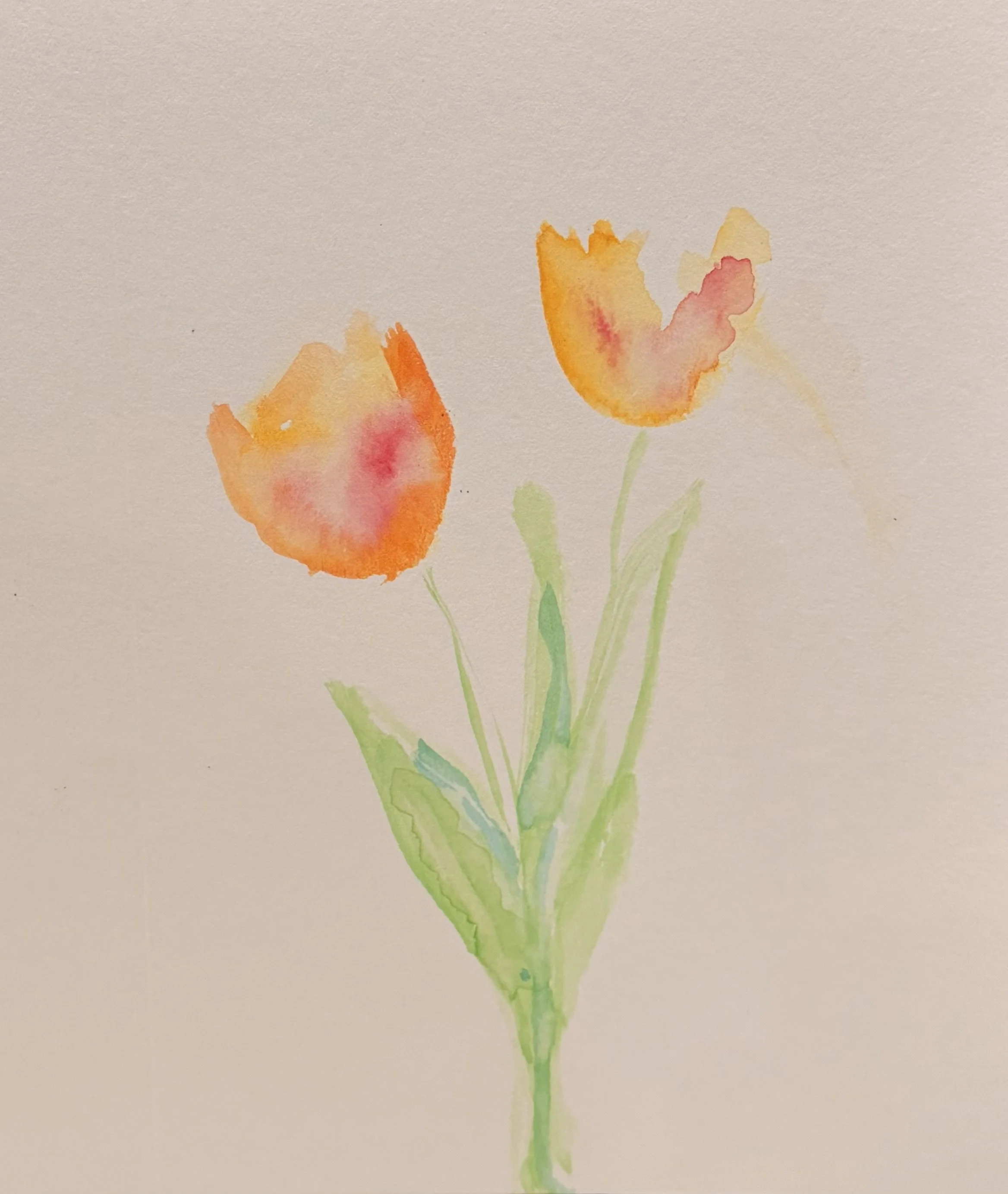 more tulips... guess i like tulips, lol