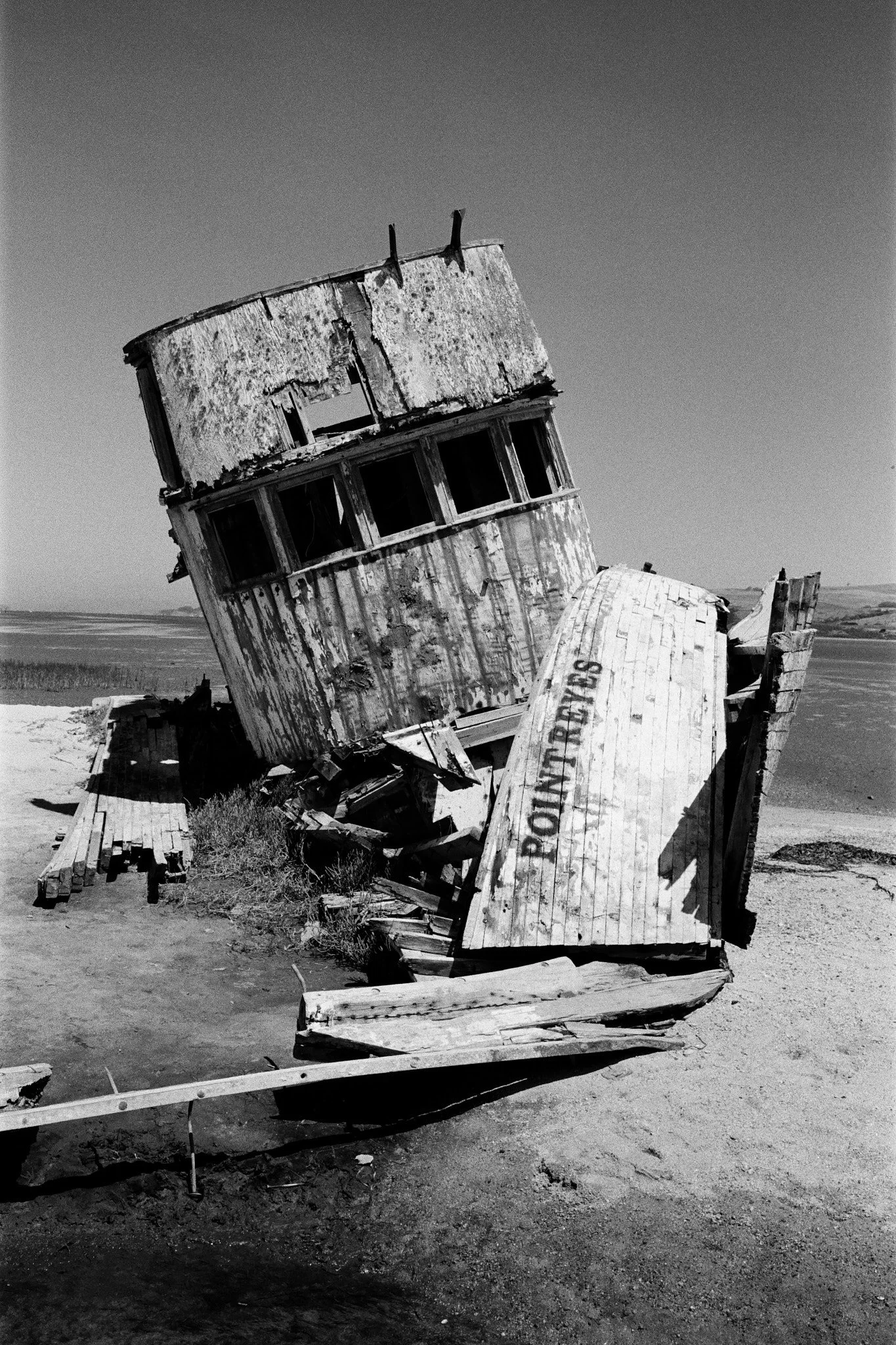 Point Reyes, 2024
