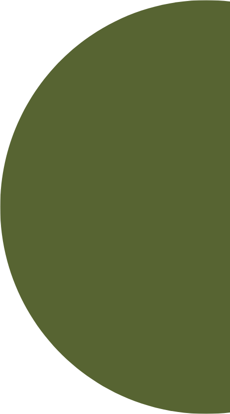 A large olive green circle with a shadow cast on the left side.