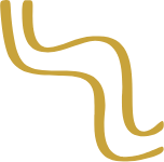 Close-up of a yellow-brown snake with a black background.