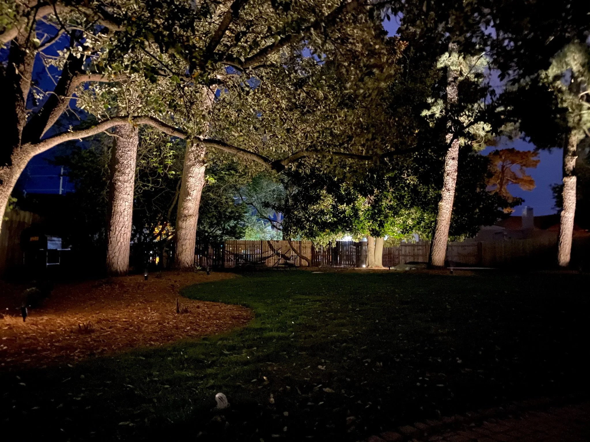 IMG_1773.JPEG