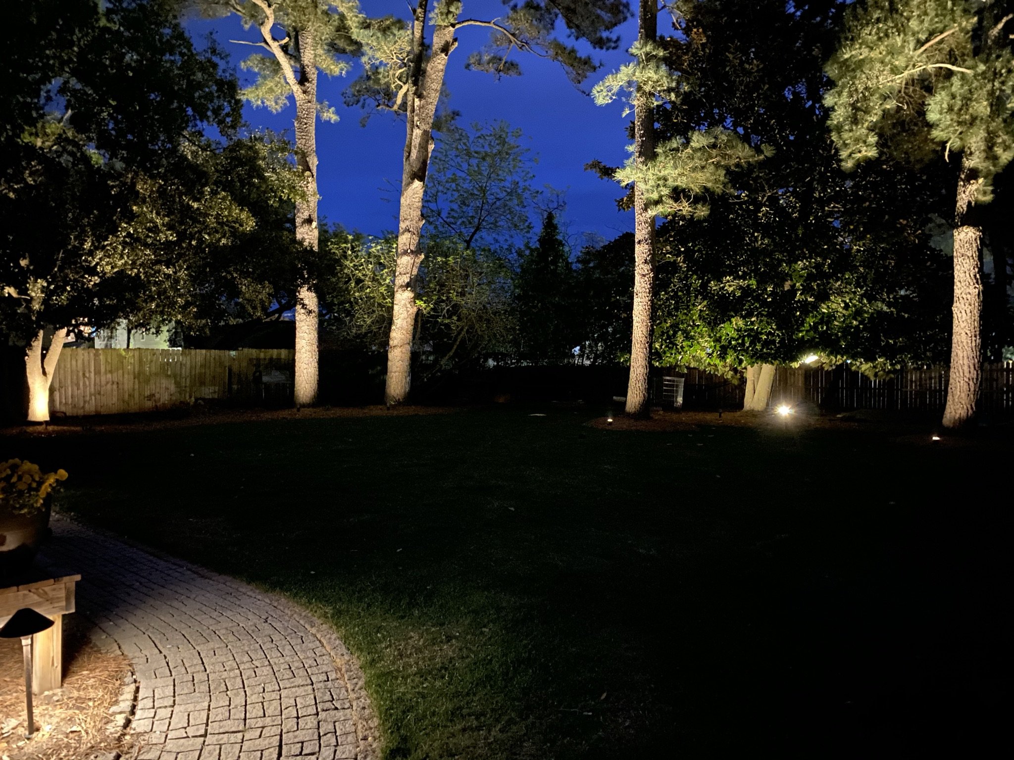 IMG_1766.JPEG