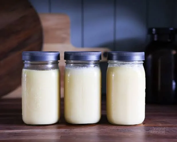 Three jars filled with beef tallow on a wooden surface.