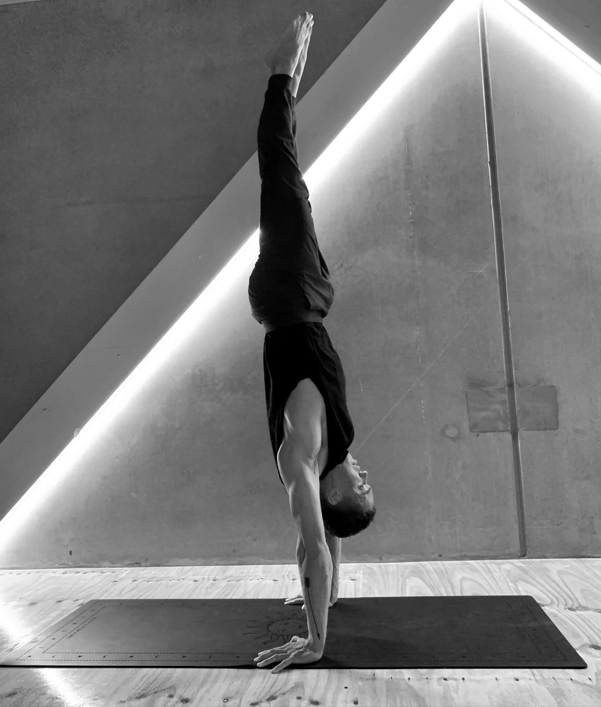 The Handstand Manual e-Book
