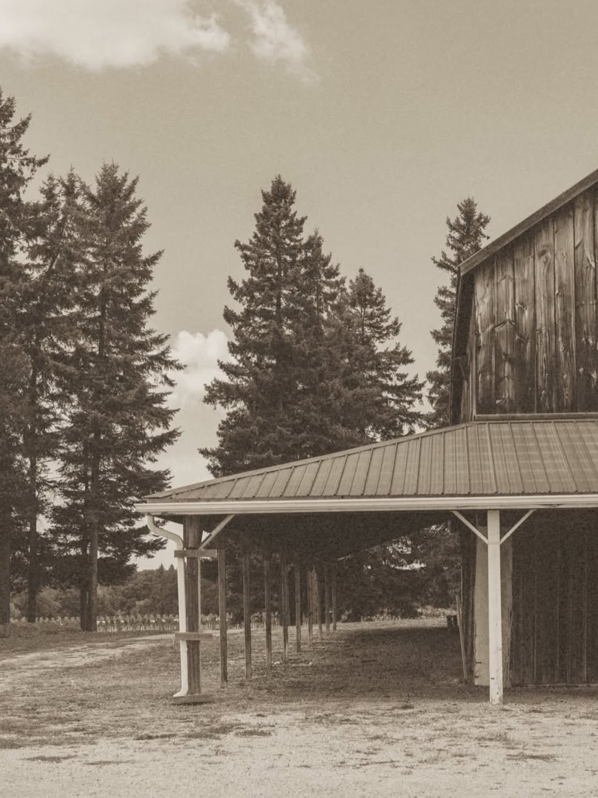 A black-and-white photo of a rustic wooden building with a metal roof, surrounded by tall pine trees under a cloudy sky.