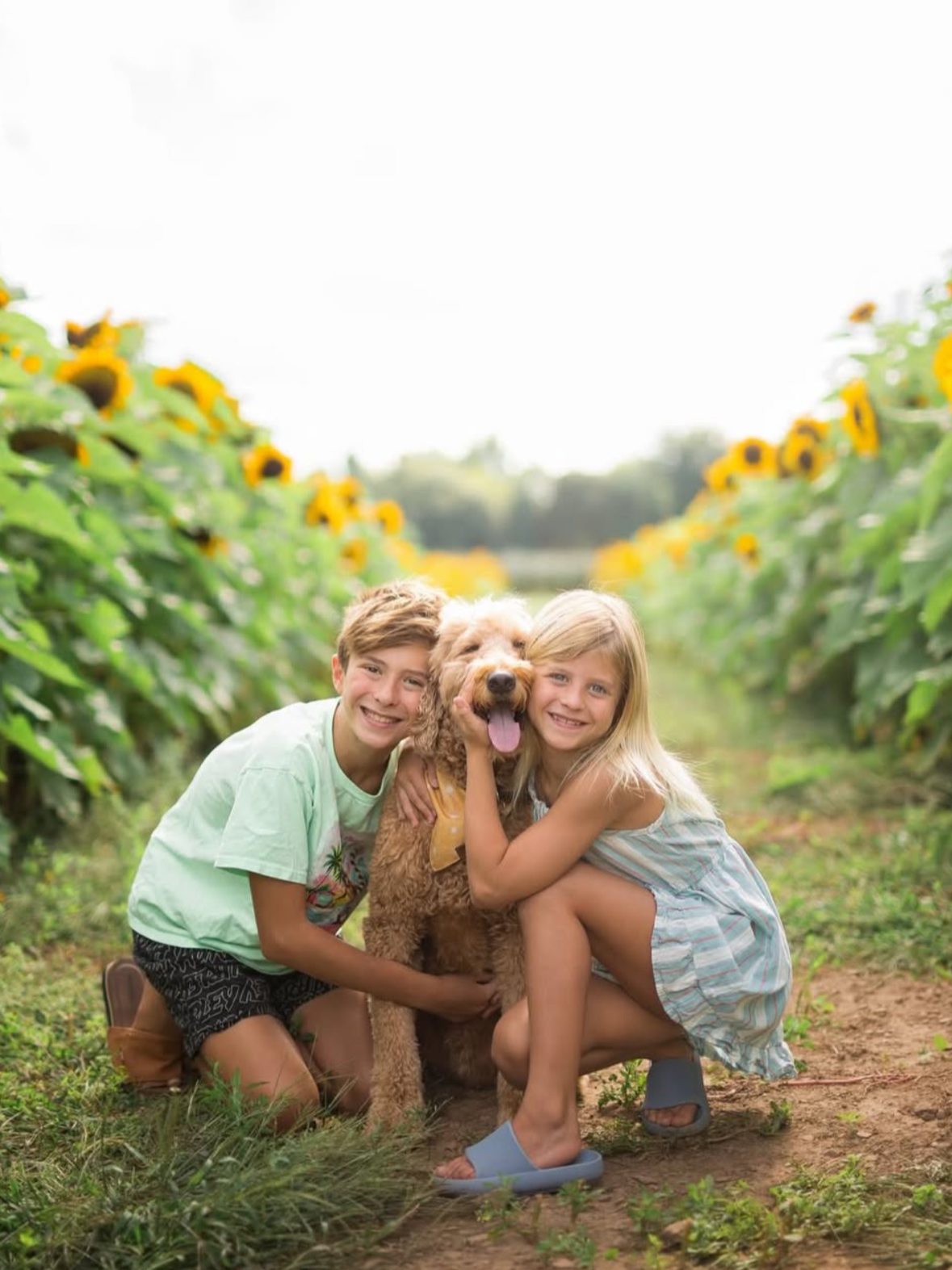 Two children and a dog in a sunflower field, smiling and hugging.