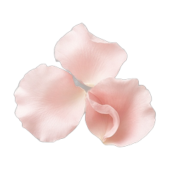 scent-soft-floral.png