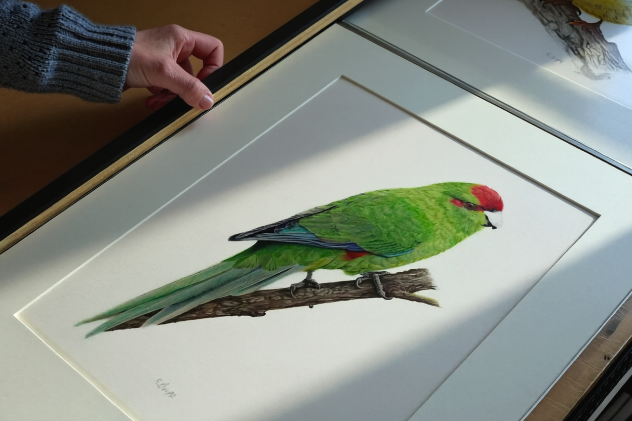 A person holding a framed artwork of a colorful bird, perched on a branch, with a white background.