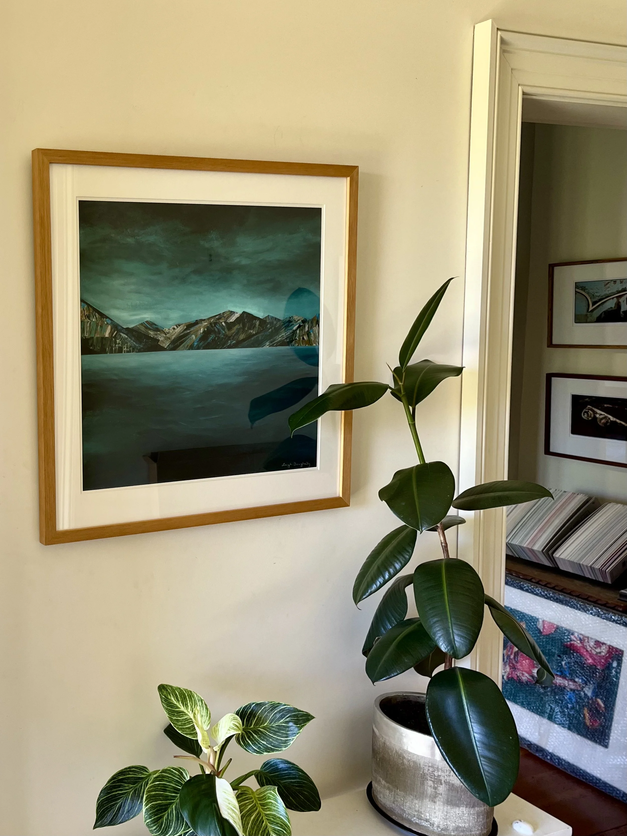 Indoor scene with two potted plants near a wall with framed artwork. One plant has large, dark green, glossy leaves, and the other has variegated green and white leaves. Wooden floor and part of a colorful rug are visible.