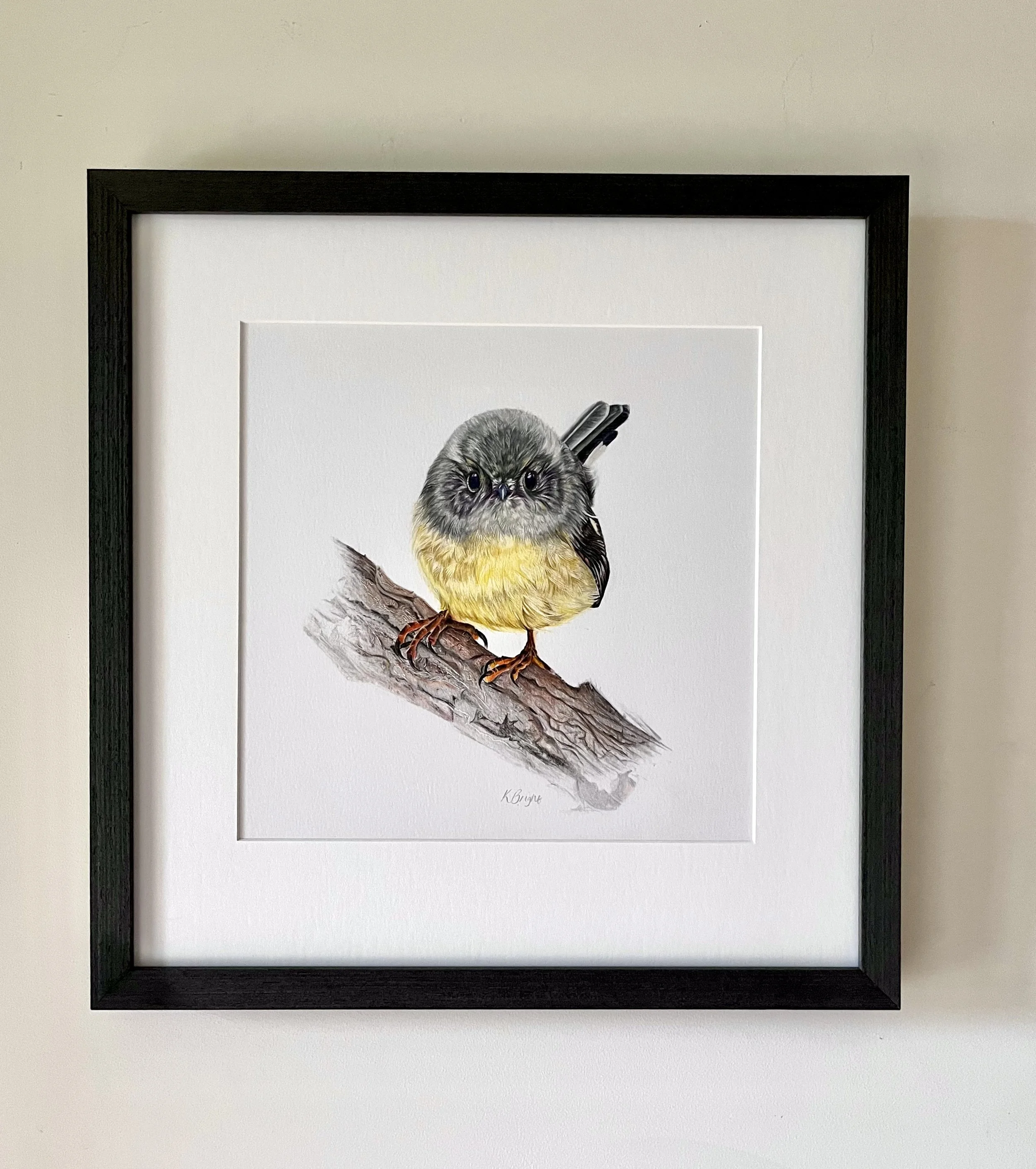 Original pencil drawing of a Tomtit by Kim Bright. Framed with a white border and black frame.