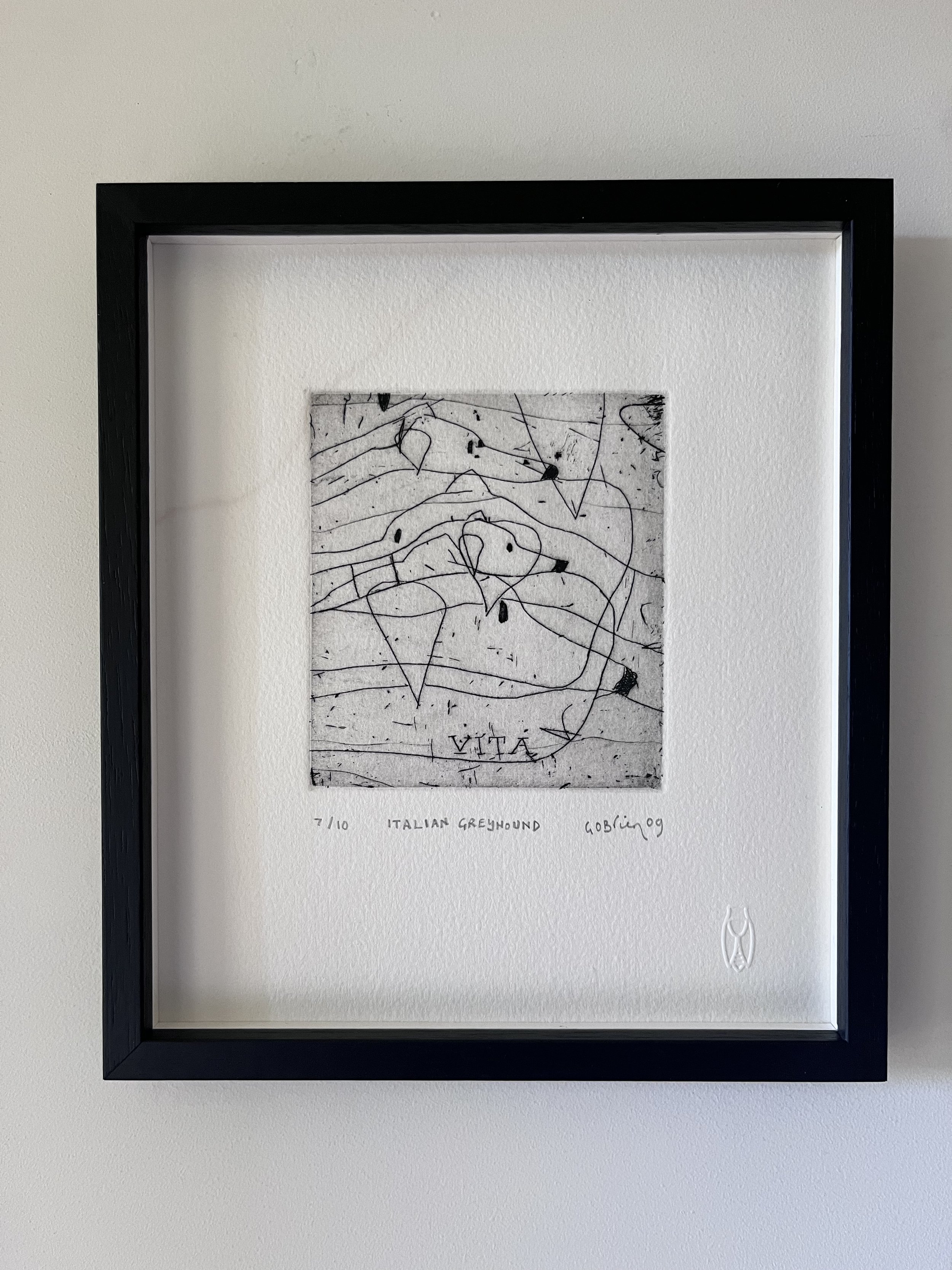 This piece is a limited edition line etching by New Zealand artist Gregory O'Brien.  It features a greyhound with the word 'VITA' written below, framed in black, with a white mat and glass cover.