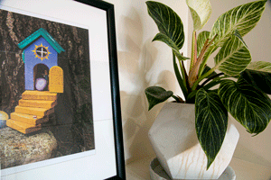 A framed picture of a colorful birdhouse and a potted plant with large green leaves on a white surface.