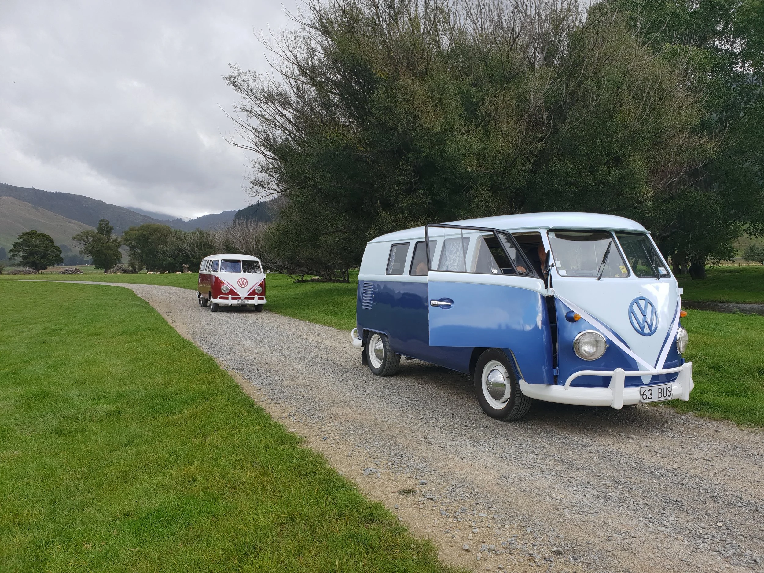 Private charter Volkswagen passenger vans, one blue and white and one red and white, parked on a gravel path in a grassy field with trees and mountains in the background under a cloudy Marlborough sky.