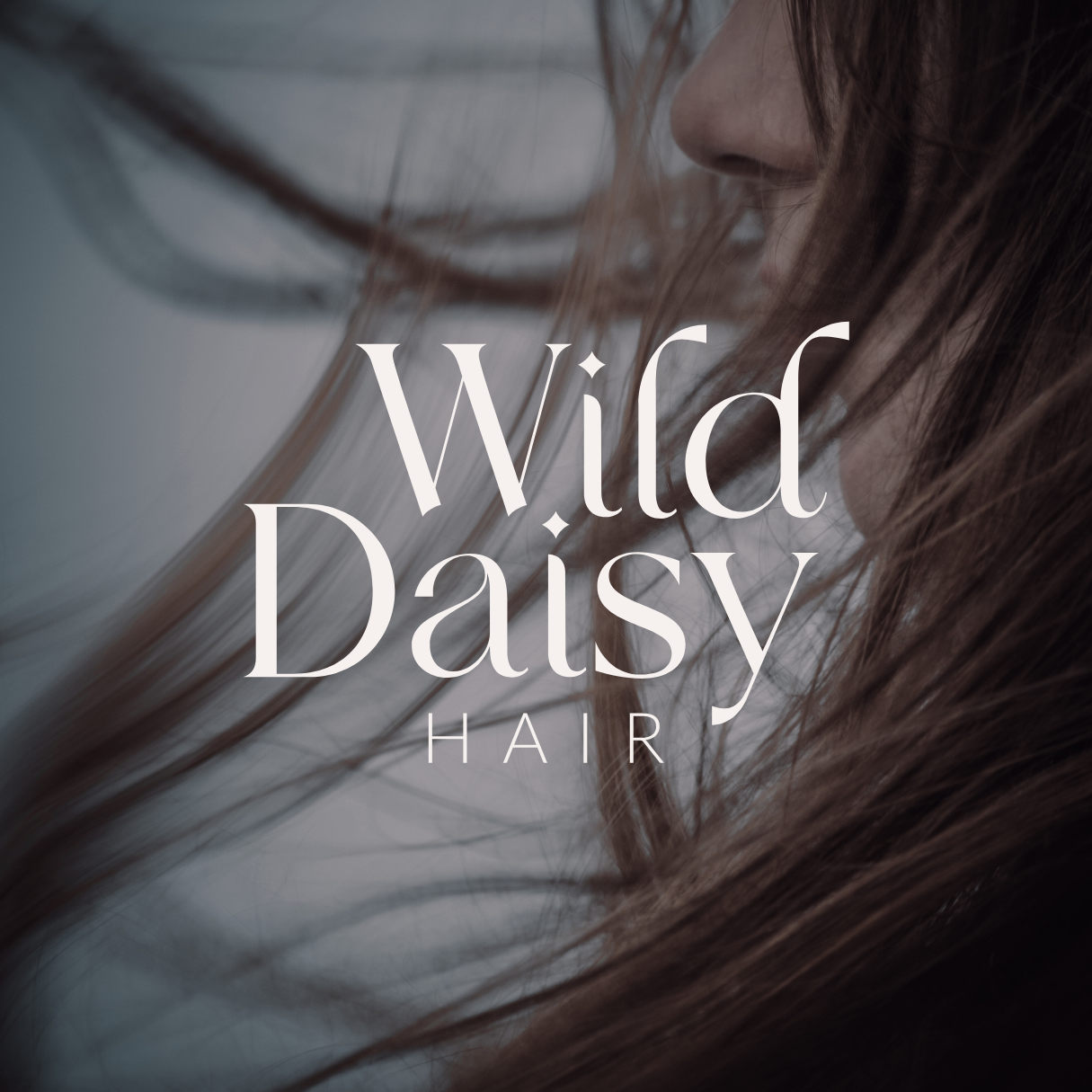 The Wild Daisy hair salon logo designed by Kindred by Courtney.