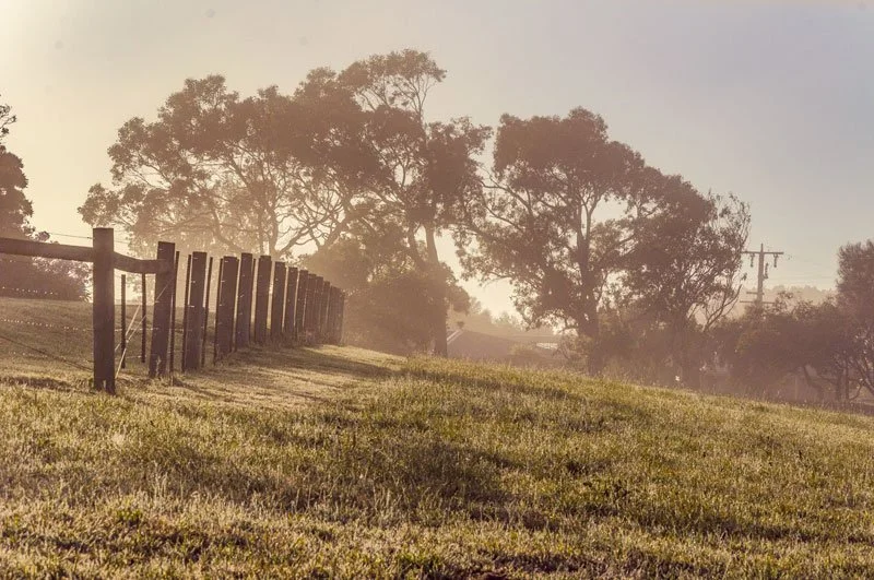 Sunlit grassy field with a wooden fence running diagonally, large trees in the background, and utility poles to the right, in a rural countryside setting.