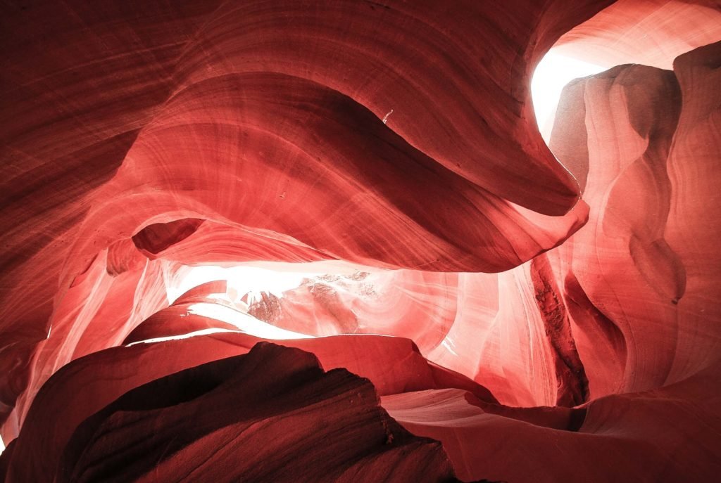 Fascia: The Missing Link Between Body, Mind and Trauma