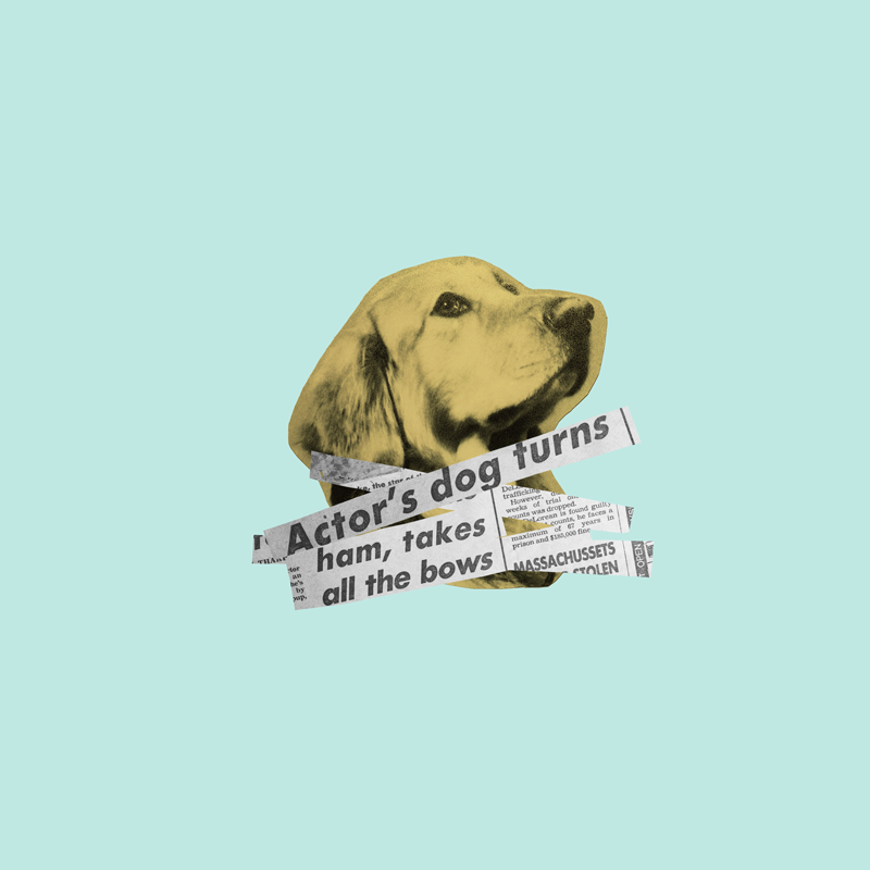 I Gave Up Acting When My Dog Became An Acting Superstar