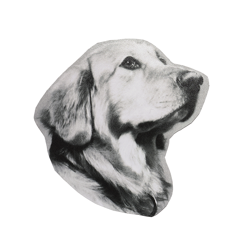 A black and white illustration of a dog's head, it's Jake the dog, a TV star.