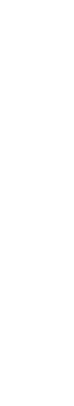 A black vertical background with white irregular elongated shapes scattered throughout.