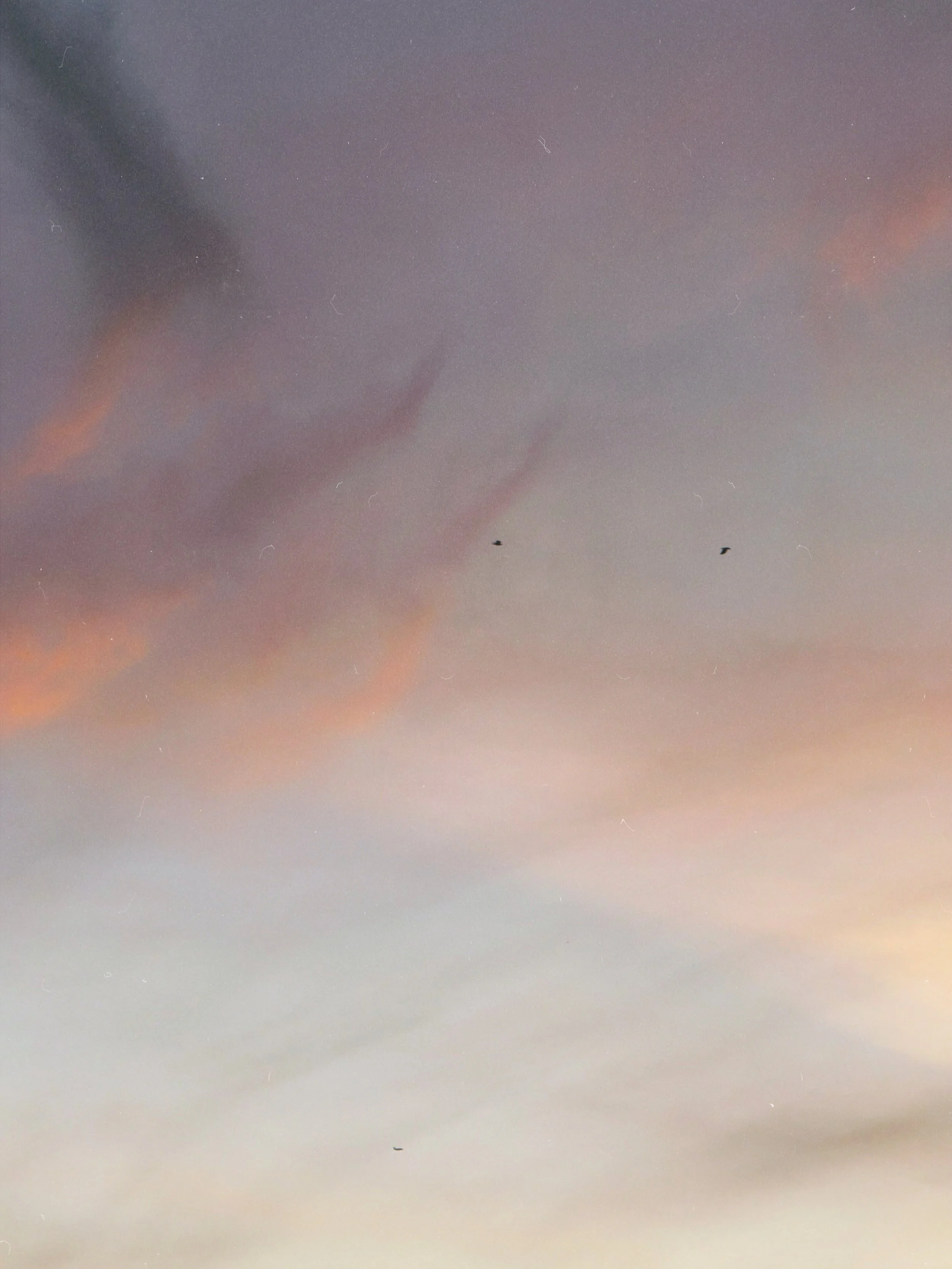 A pastel-colored sky during sunset with faint clouds and three birds flying in the distance.