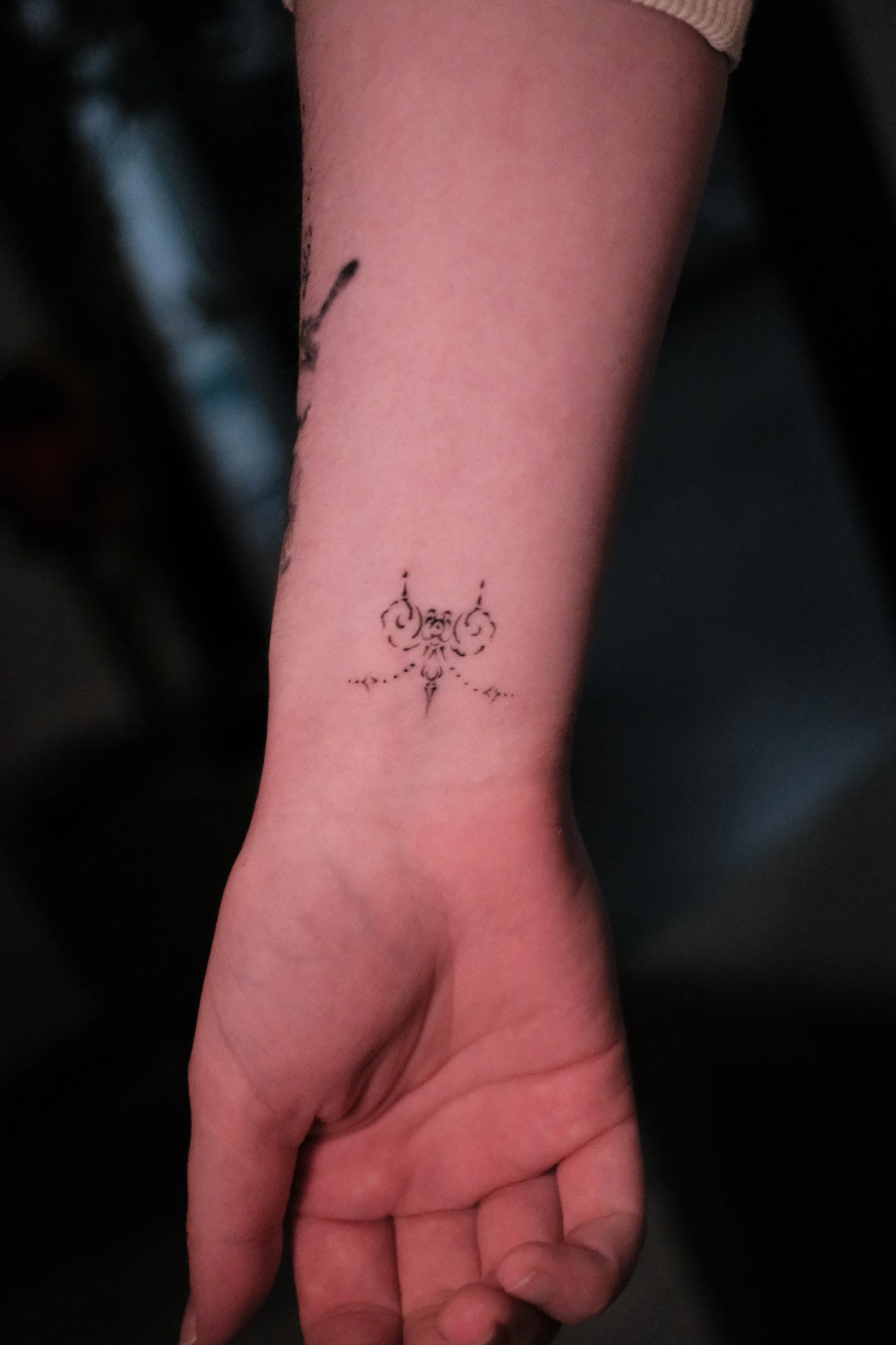 DSCF1511.JPG