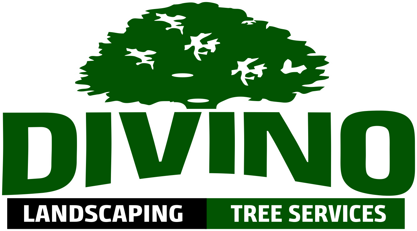 Divino Landscaping &amp; Tree Service