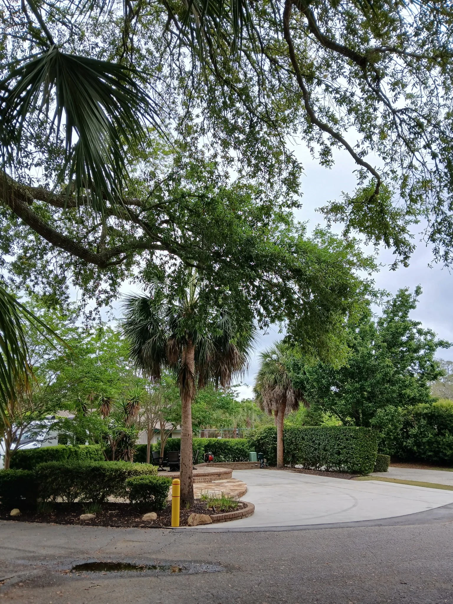 RV Lot 186