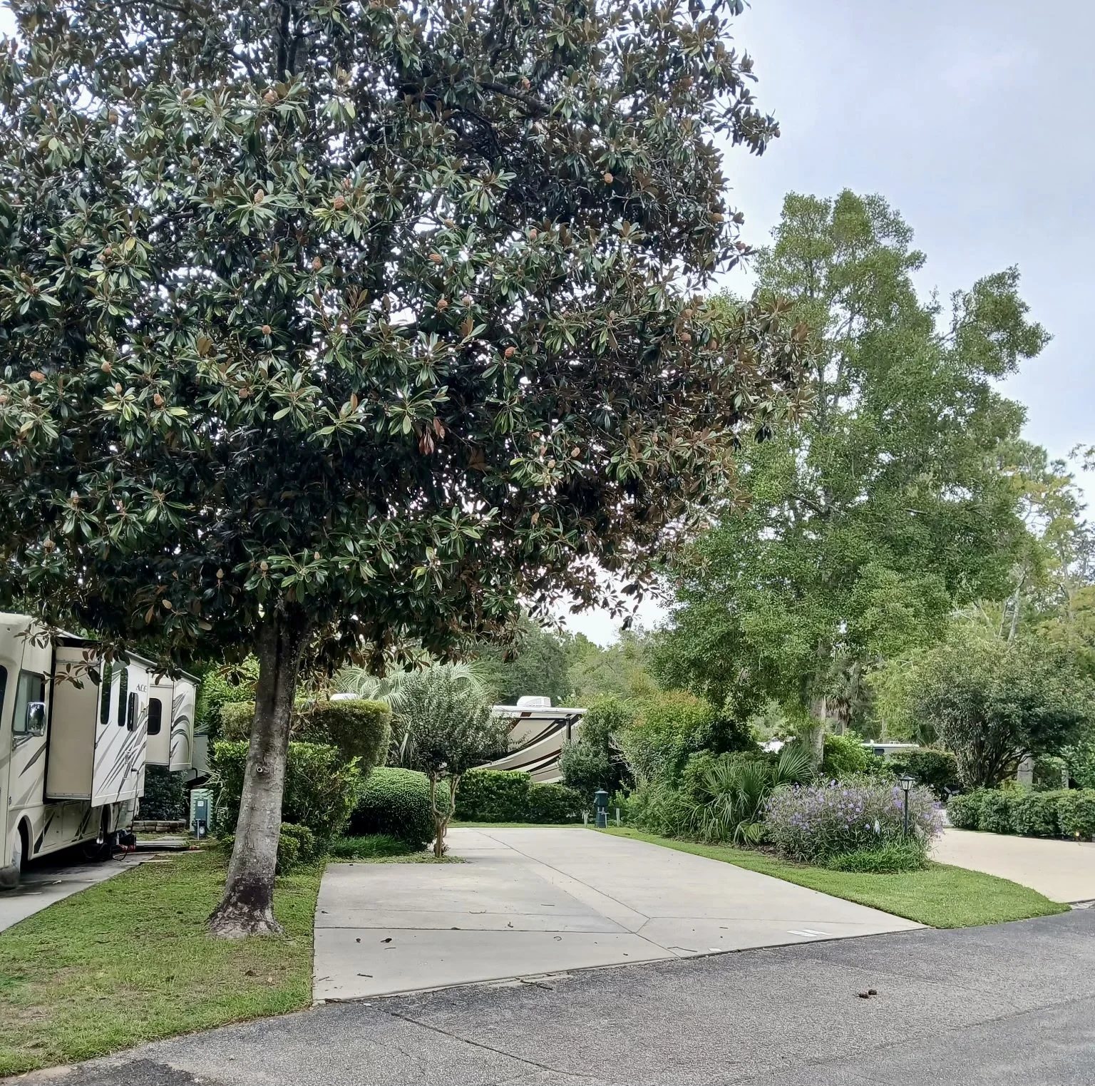RV Lot 94