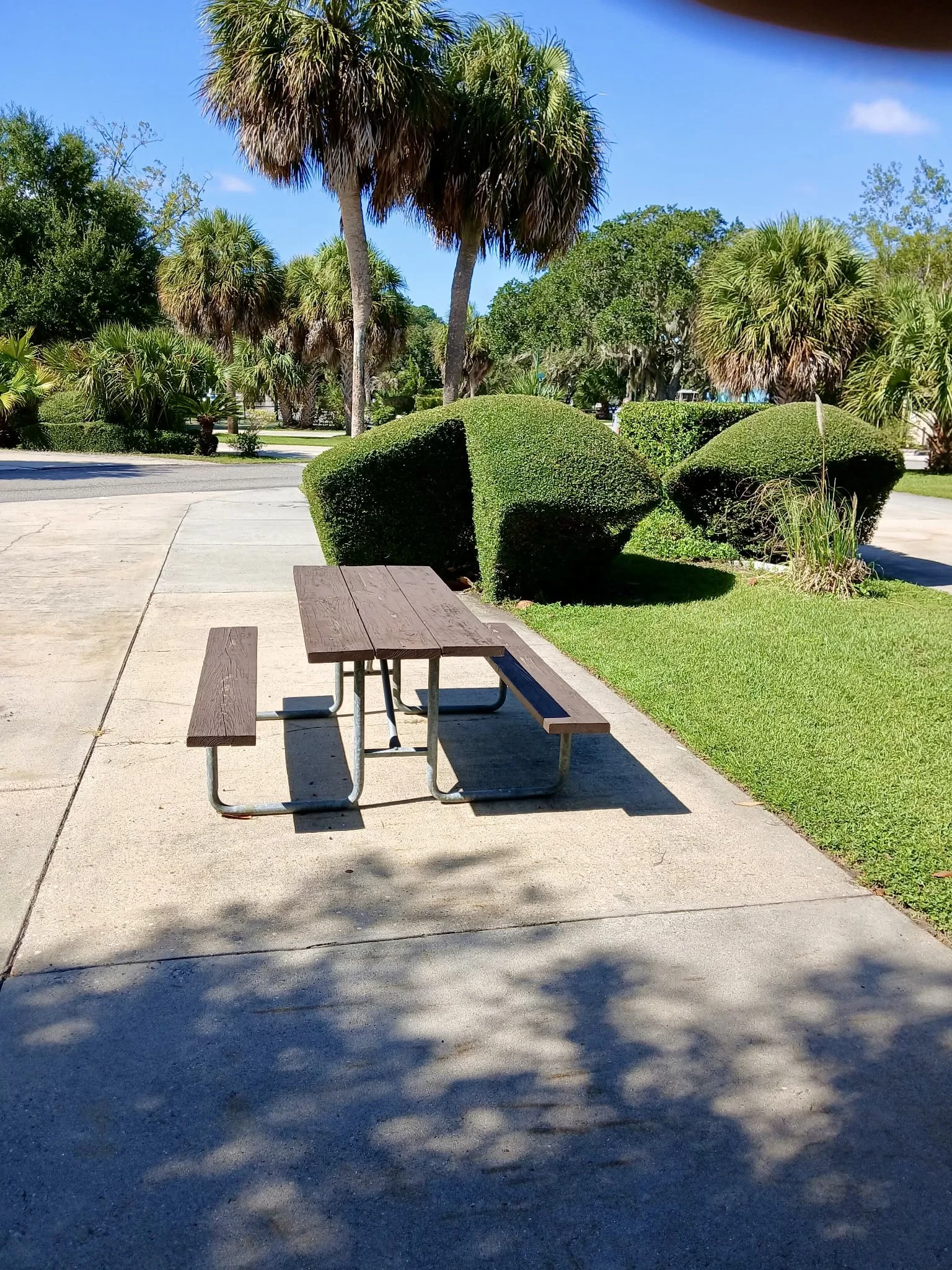 20260925_111459.jpeg
