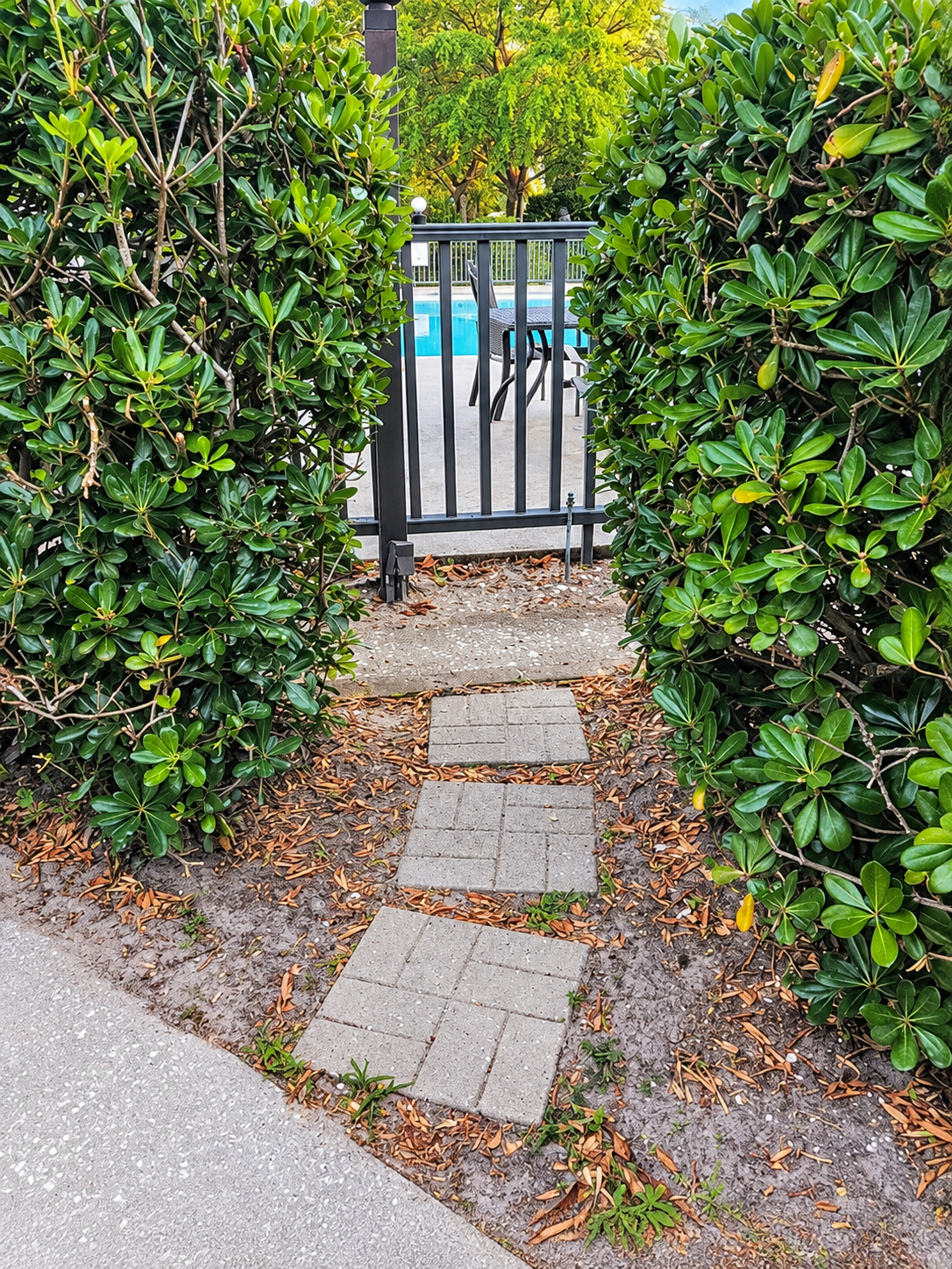 Hidden Garden Pool Gate.png