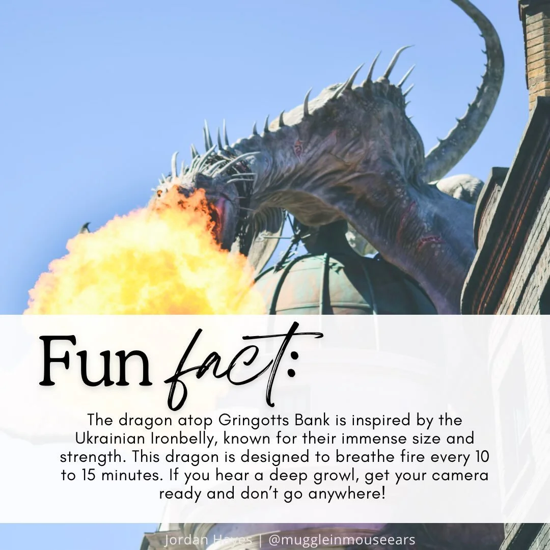 Heading to Universal Florida soon? Don&rsquo;t miss the dragon!

The OG dragon that is, over in Diagon Alley (no shade to Toothless of course). This spectacle is one of my favorite parts of the Wizarding World, even if I can&rsquo;t stand the momenta