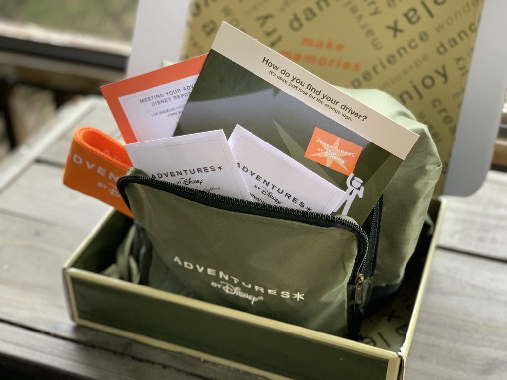 A box containing Disney-themed adventure travel items, including a green zippered pouch, an orange wristband, and various papers and notices, with a yellow background and a window in the background.