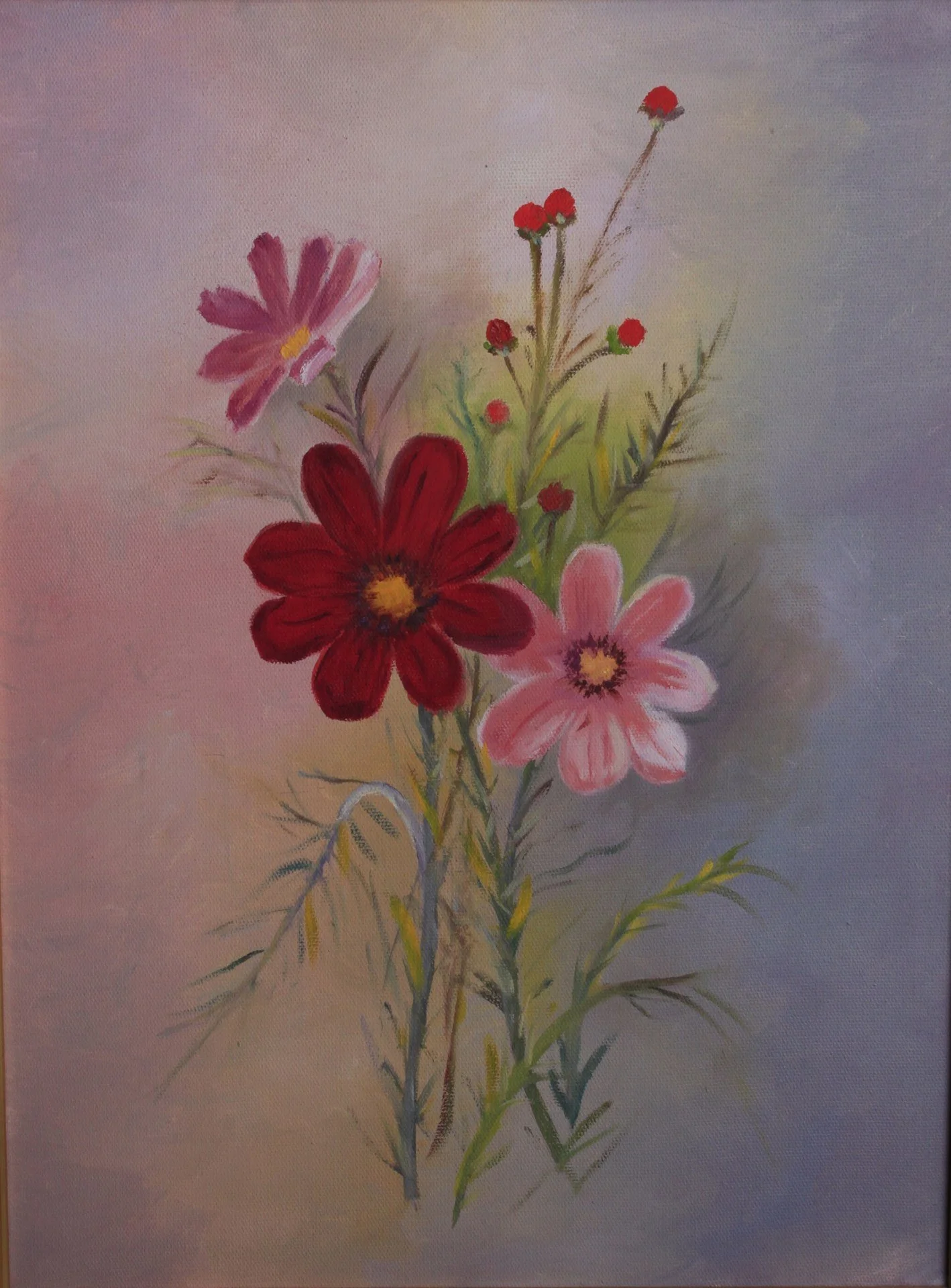 cosmos-flowers.jpg