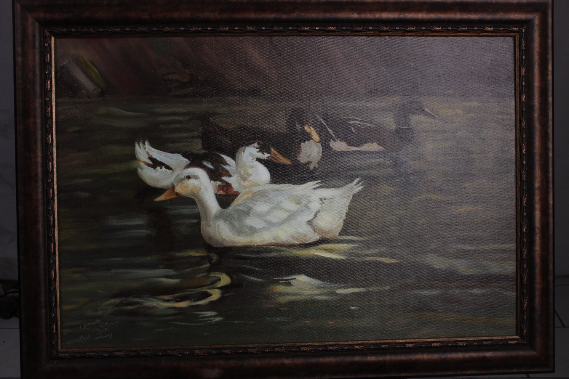 ducks.jpg