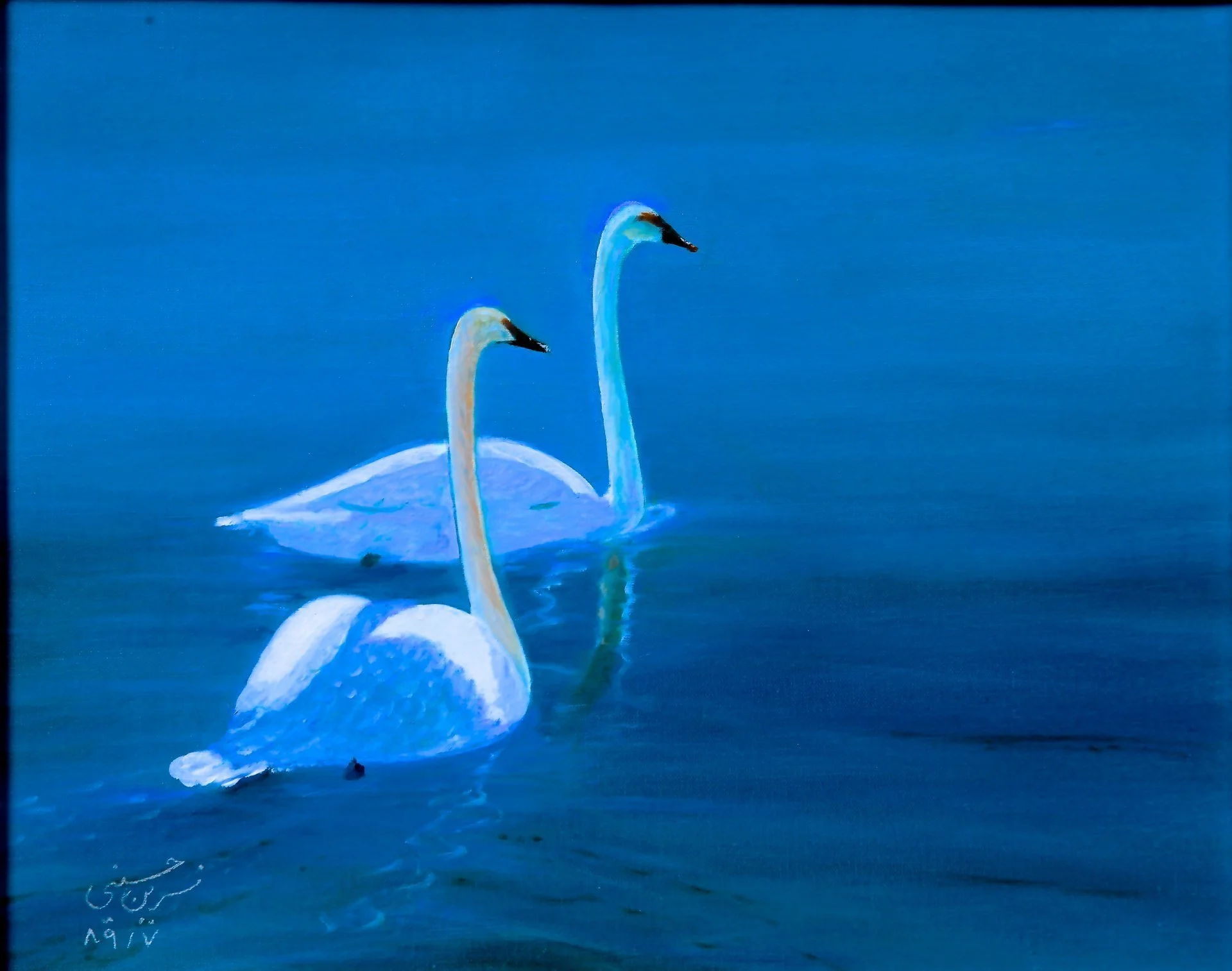 swans-in-the-morning.jpg