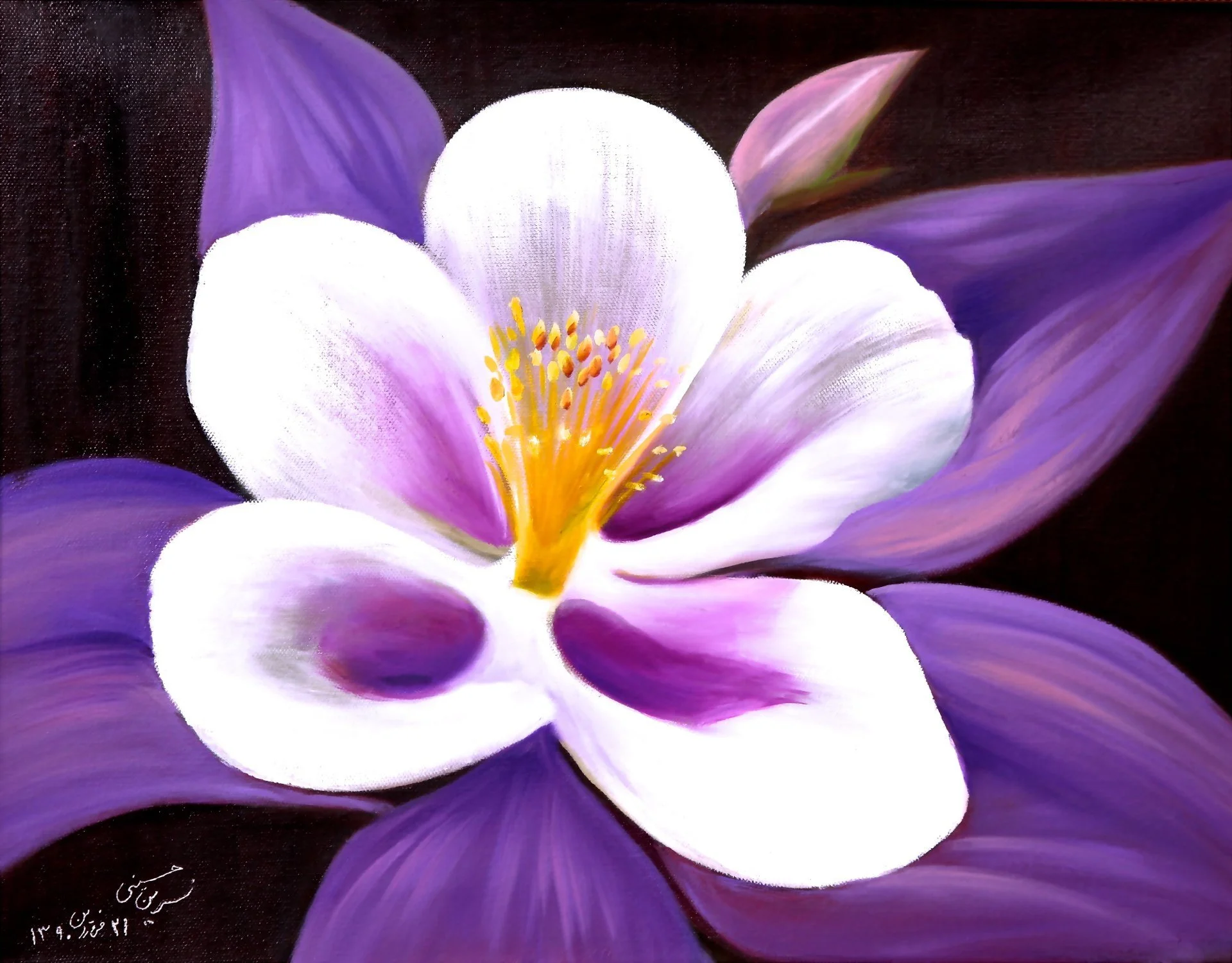 orchid-flower.jpg