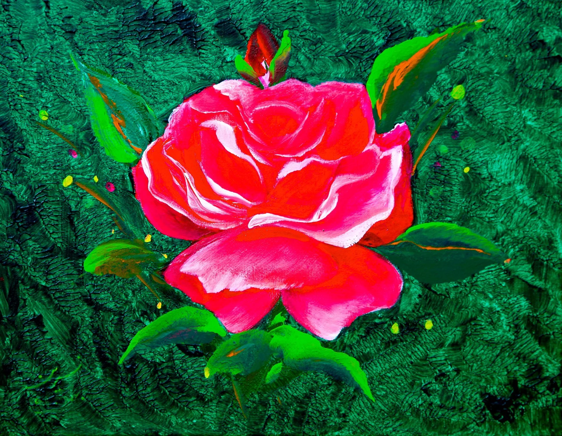 the-red-rose.jpg
