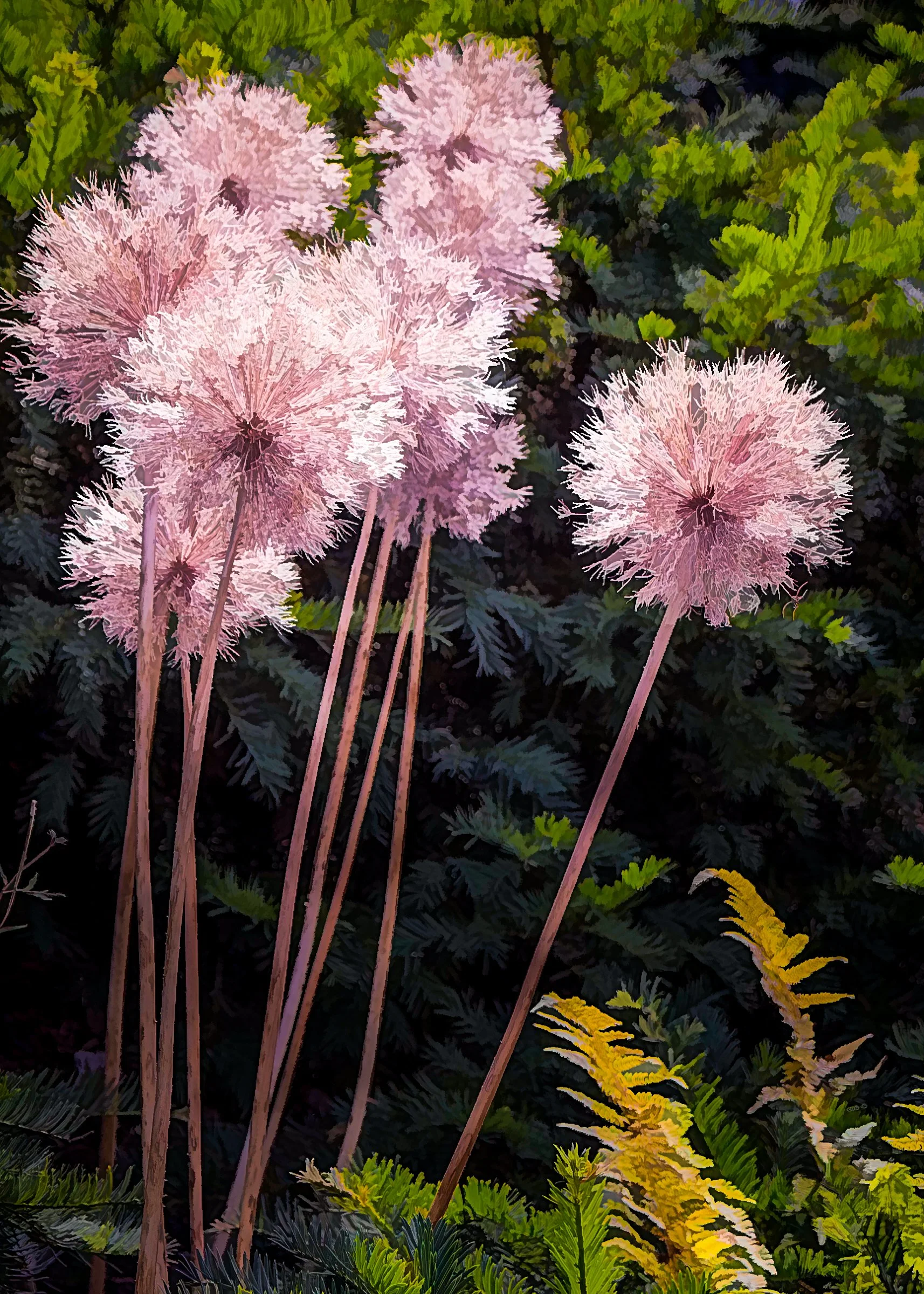 still life-1.jpg